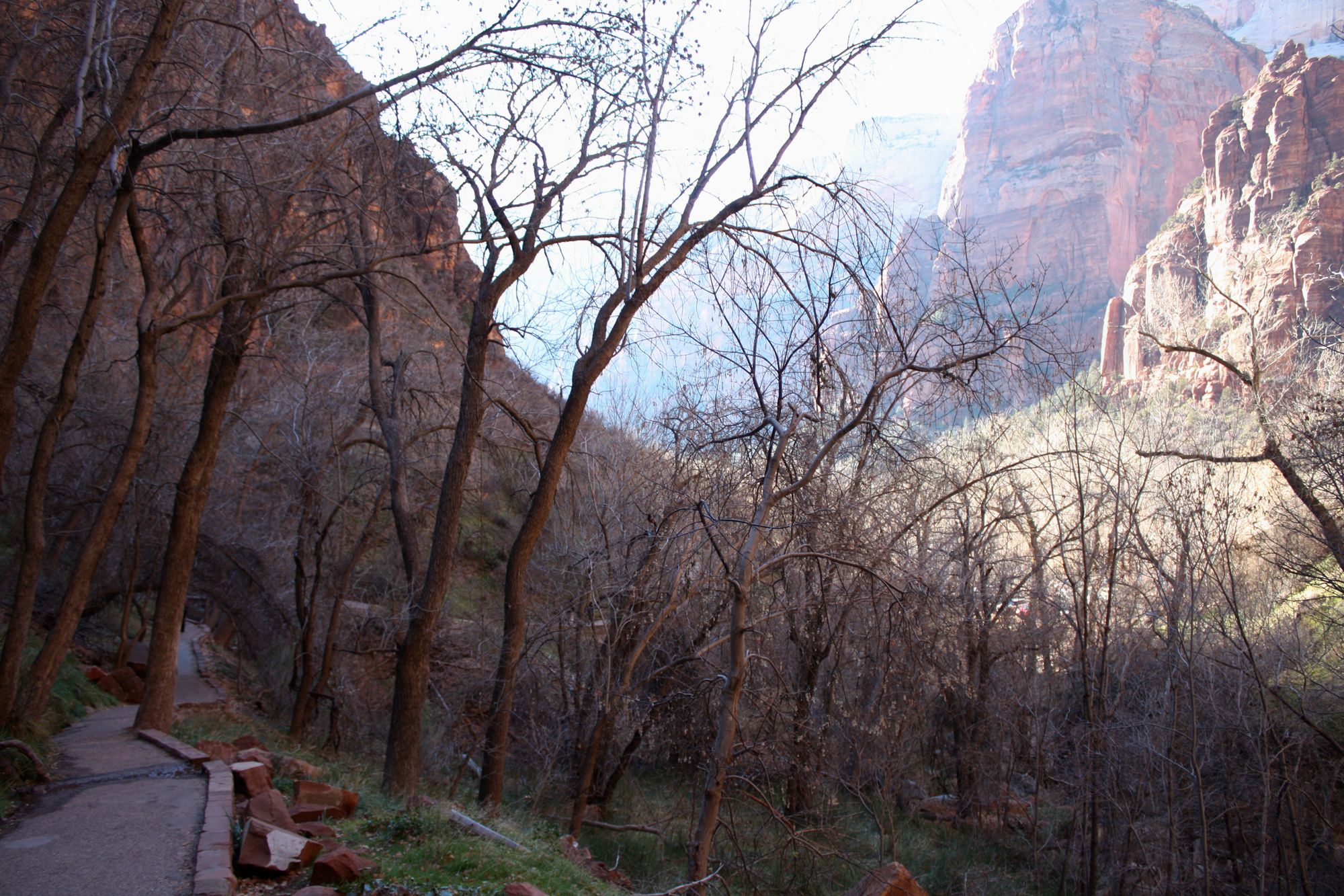 Zion Canyon (22)