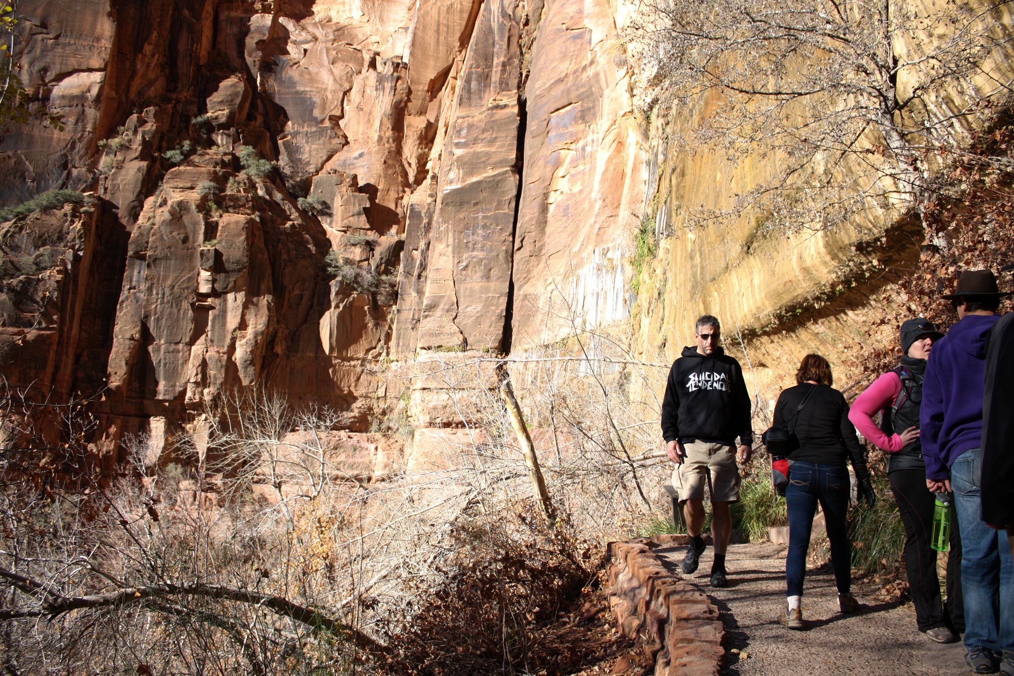 Zion Canyon (23)