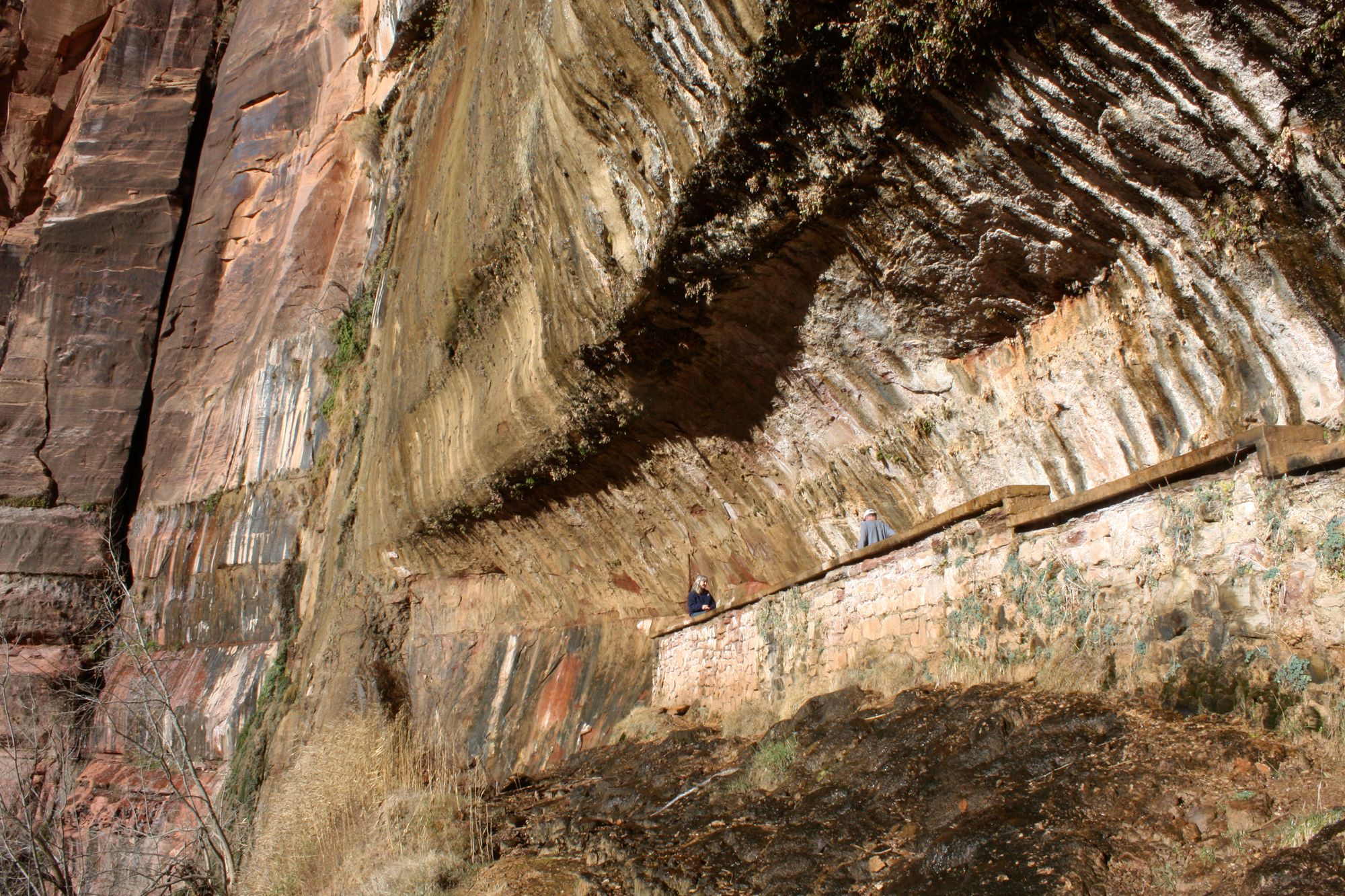 Zion Canyon (24)