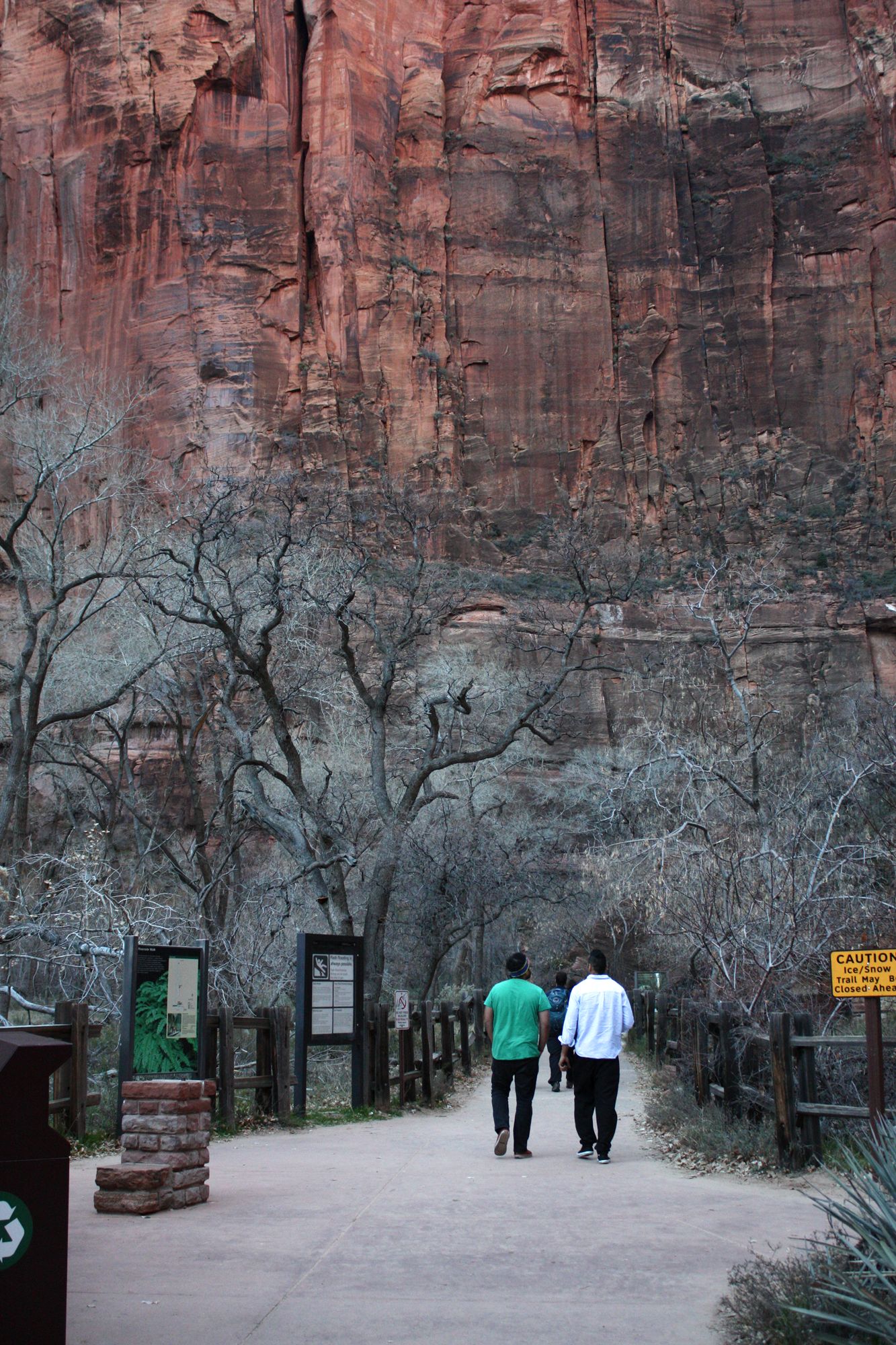 Zion Canyon (4)