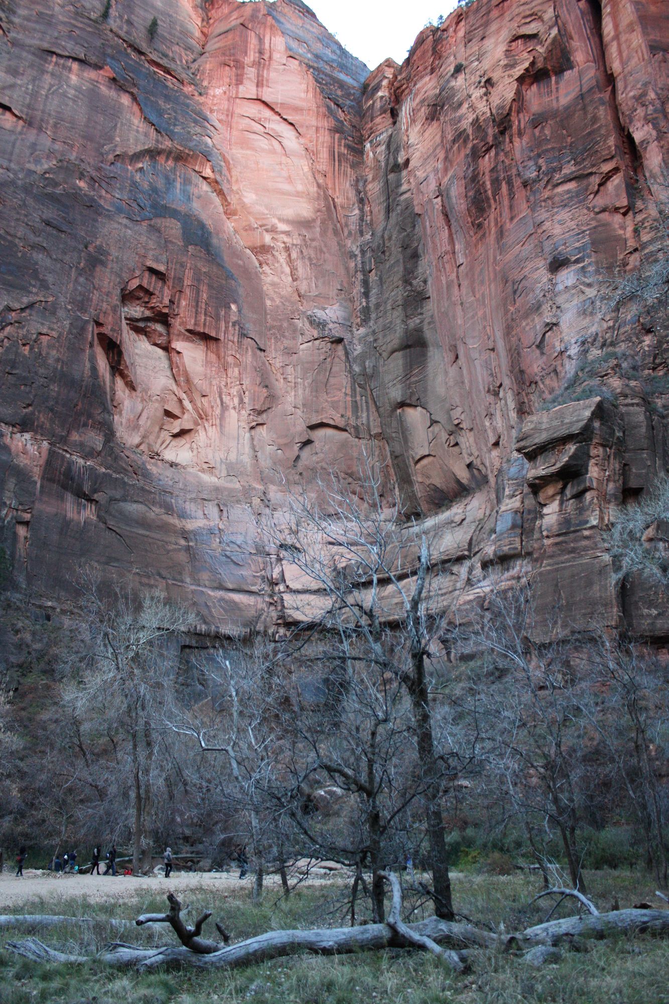 Zion Canyon (5)