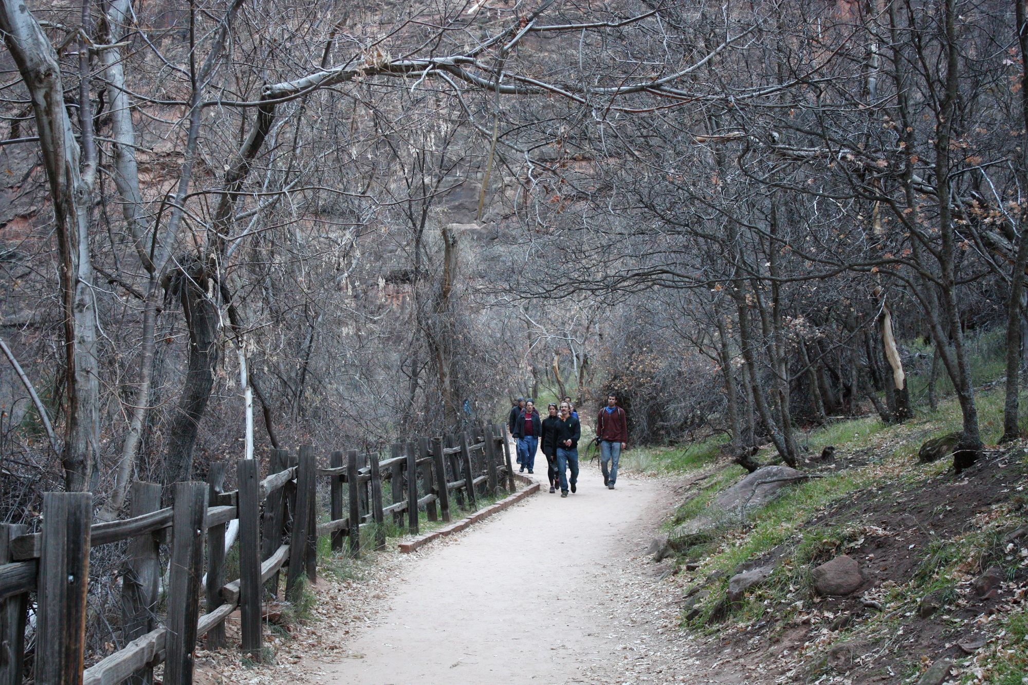 Zion Canyon (6)