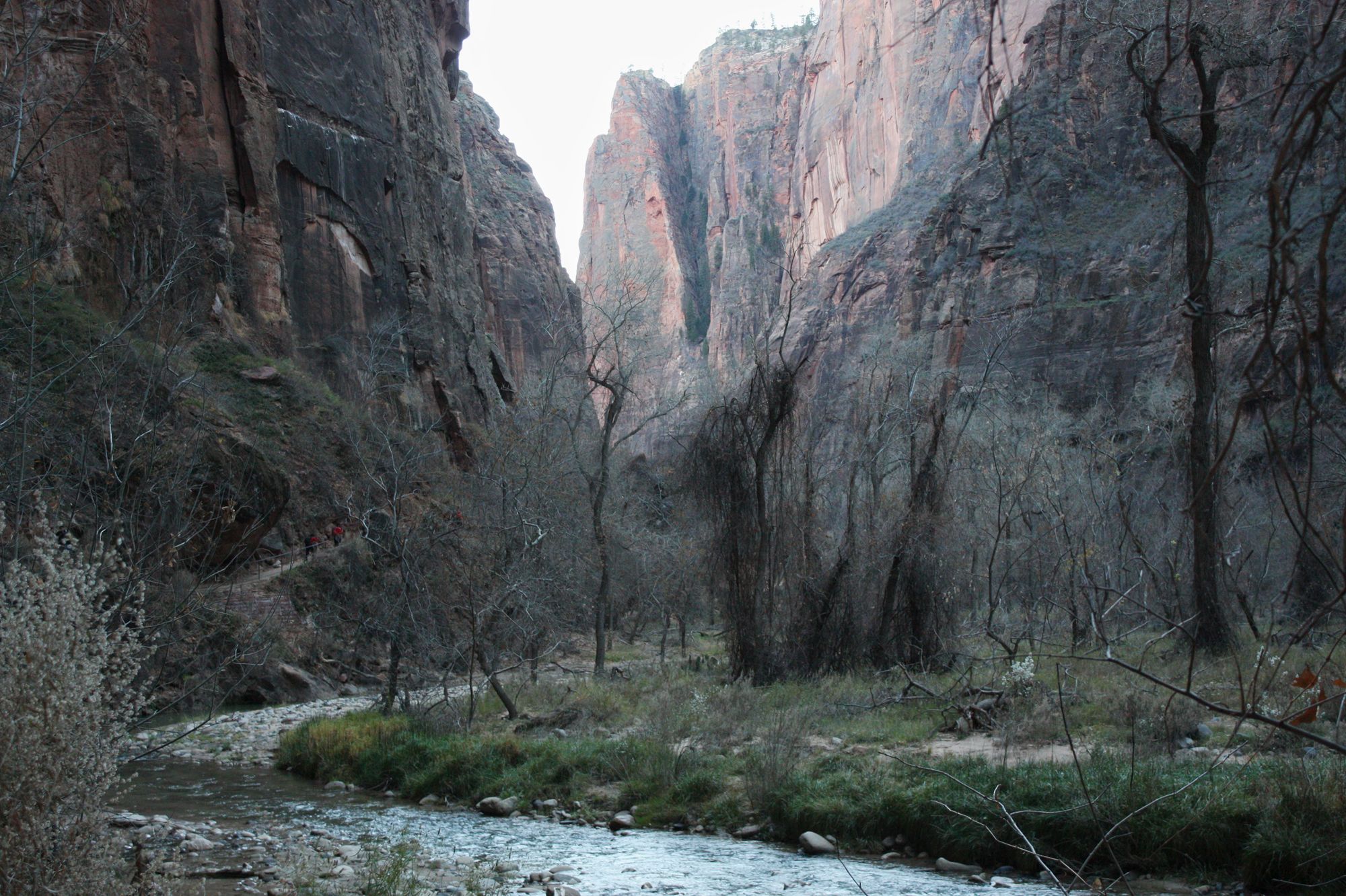 Zion Canyon (7)