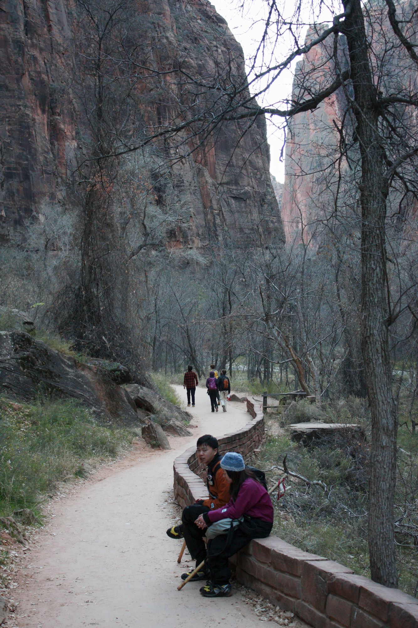 Zion Canyon (8)