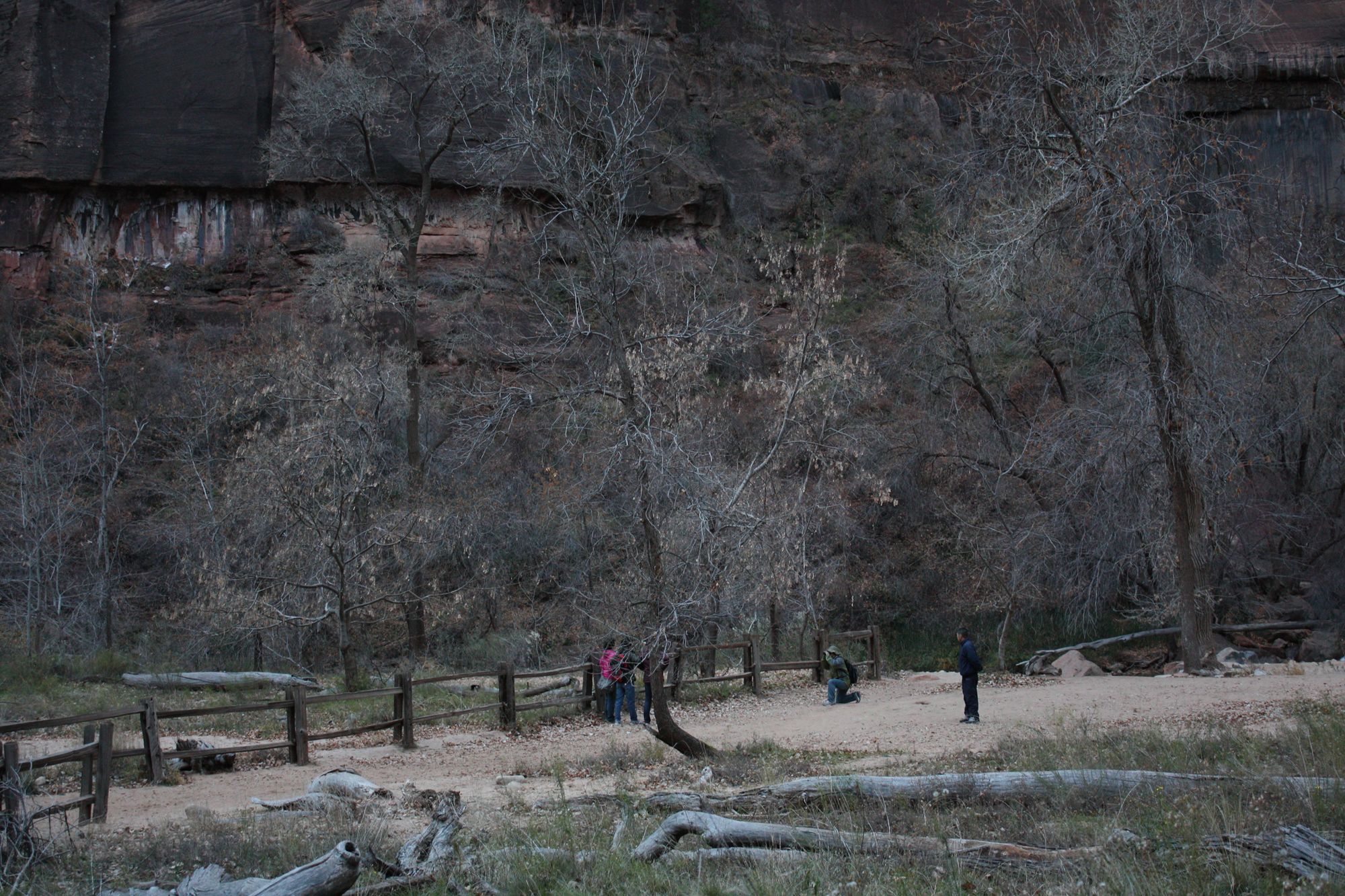 Zion Canyon (9)