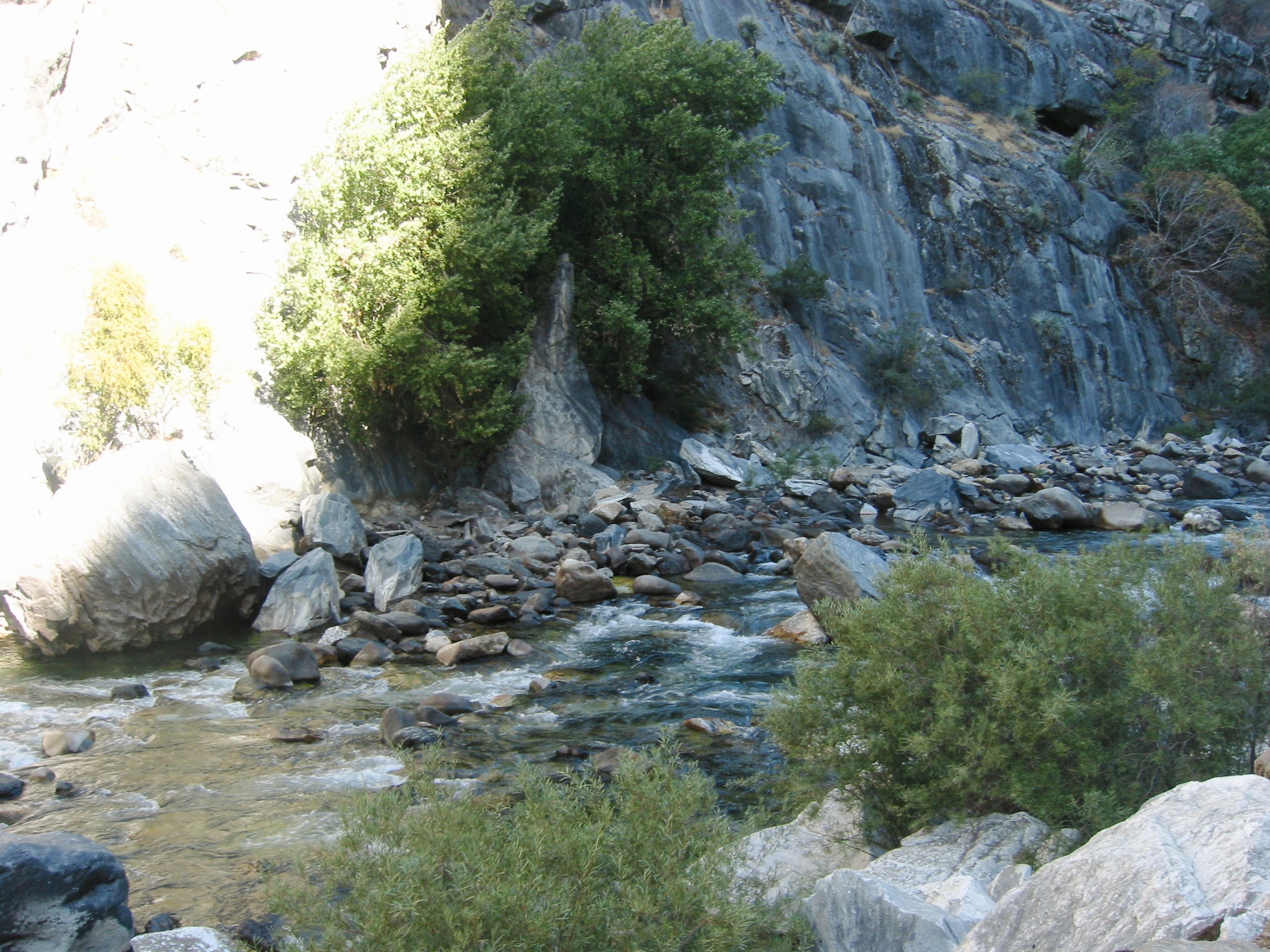 Sequoia & Kings Canyon (14)