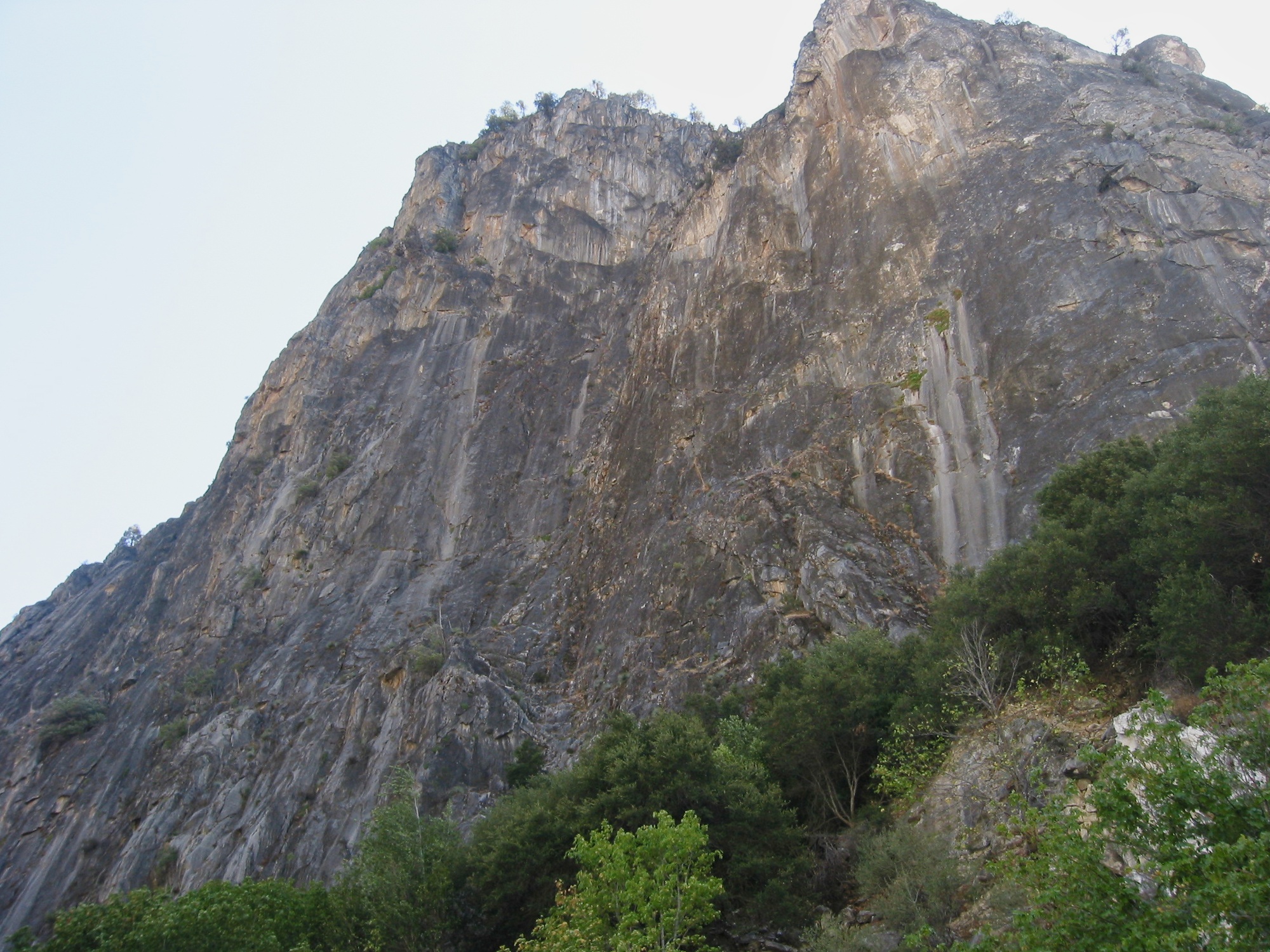 Sequoia & Kings Canyon (15)