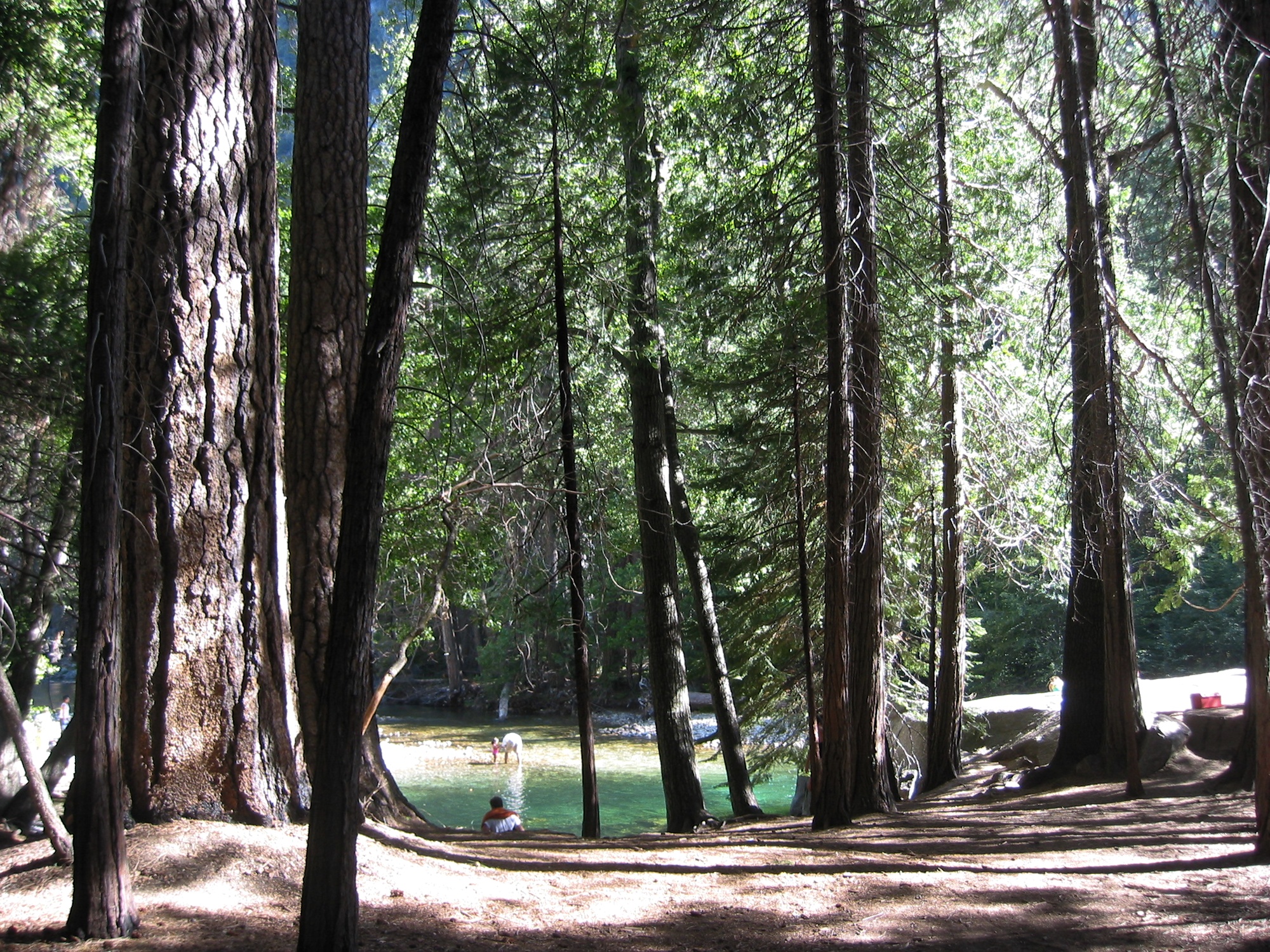 Sequoia & Kings Canyon (17)