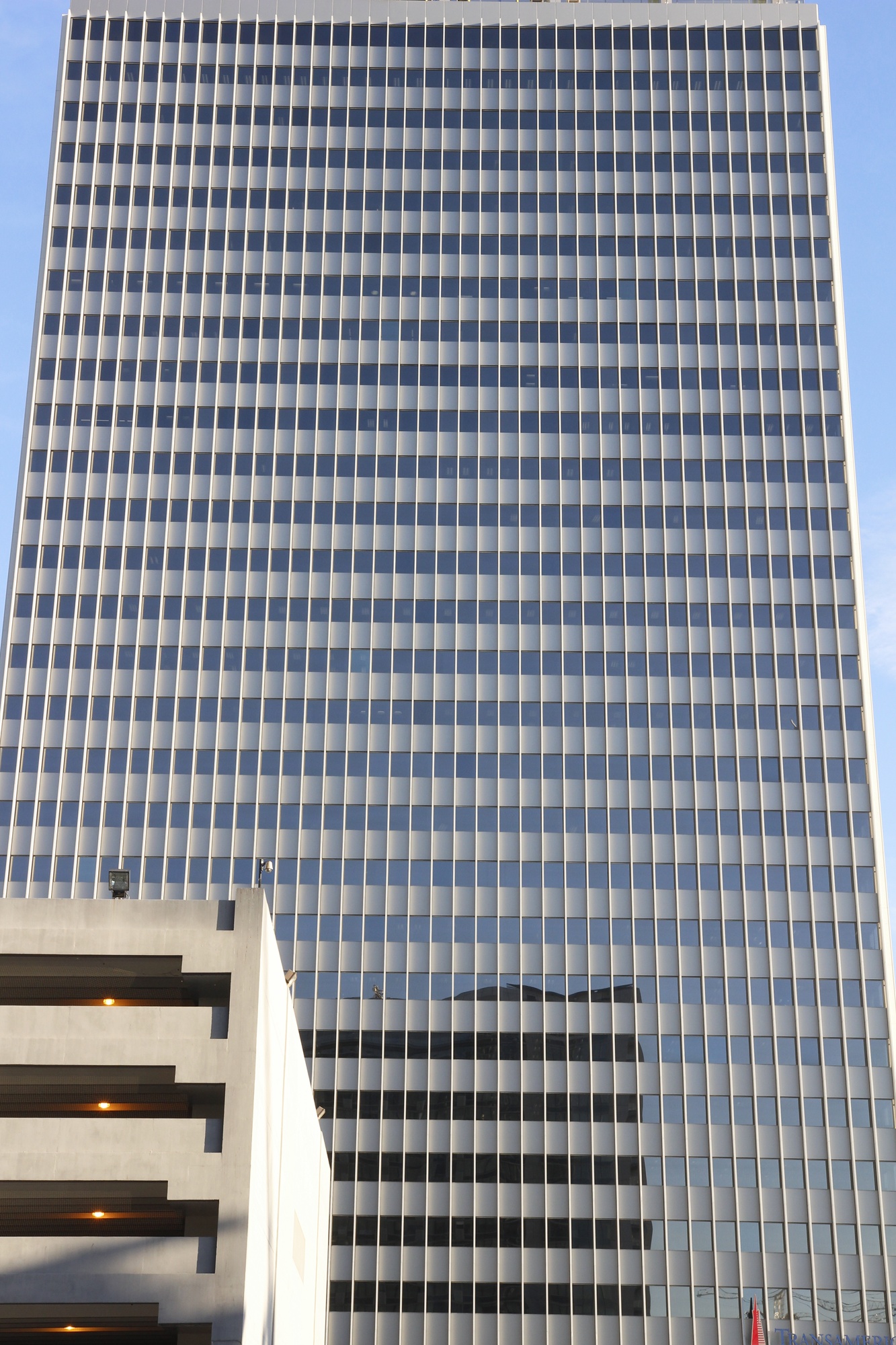 Downtown Building (23)