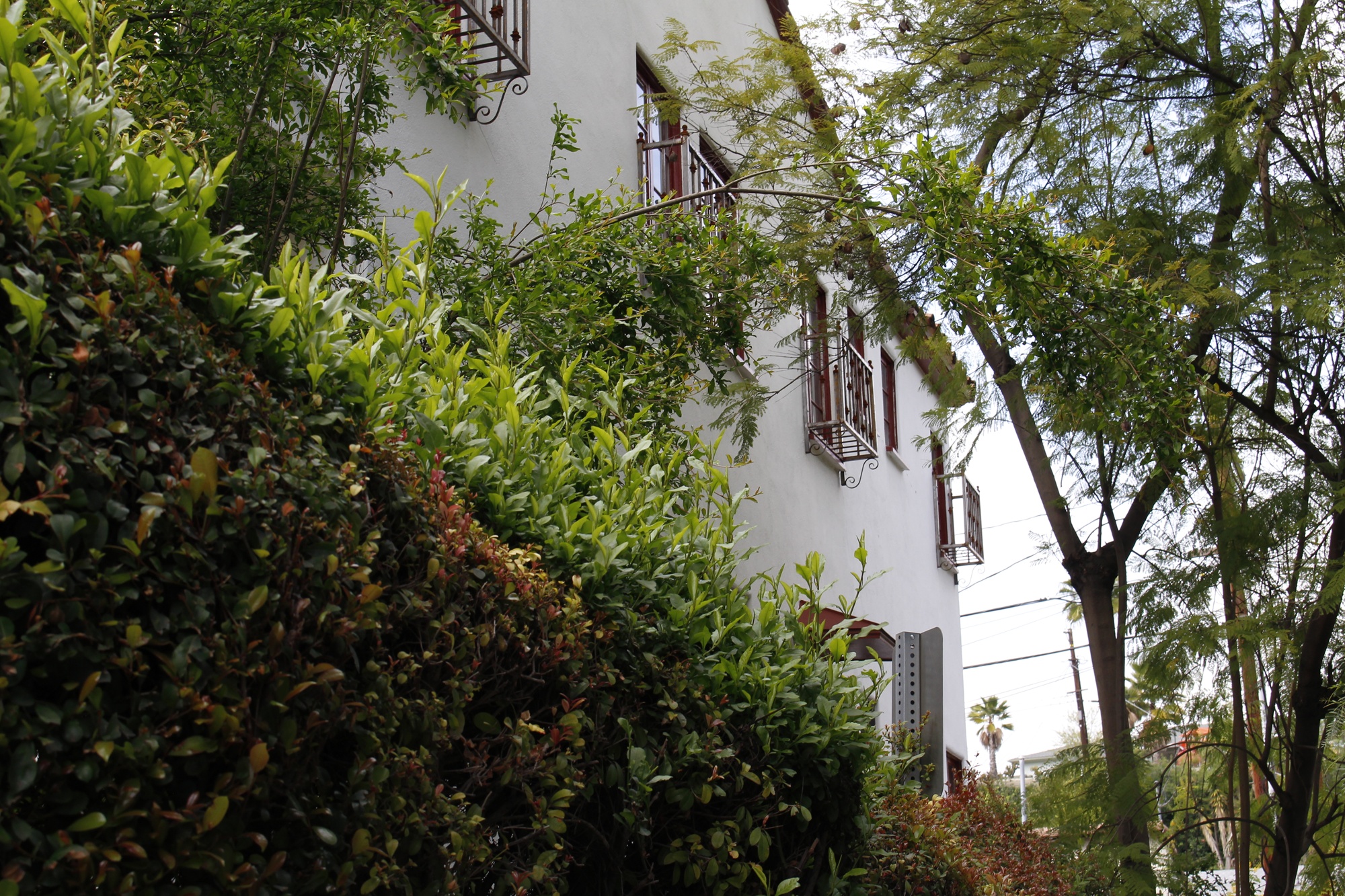 Los Feliz Houses (10)