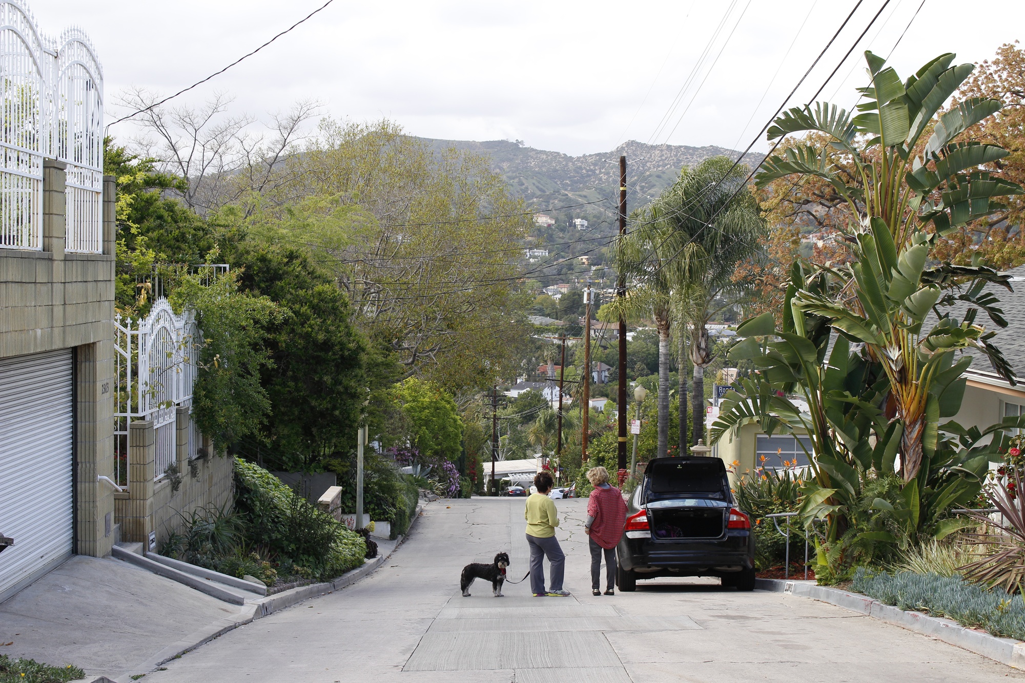 Los Feliz Houses (15)