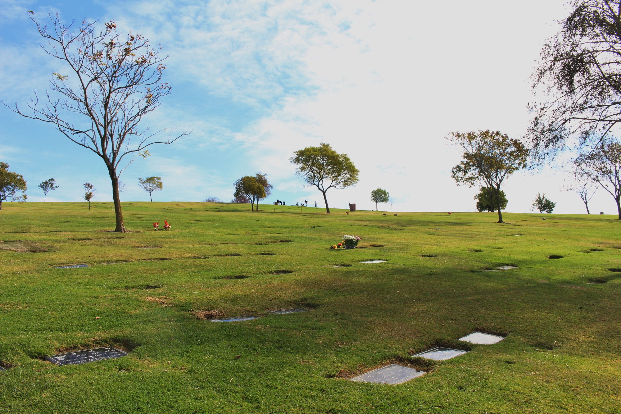 Rose Hill Memorial Park (1)