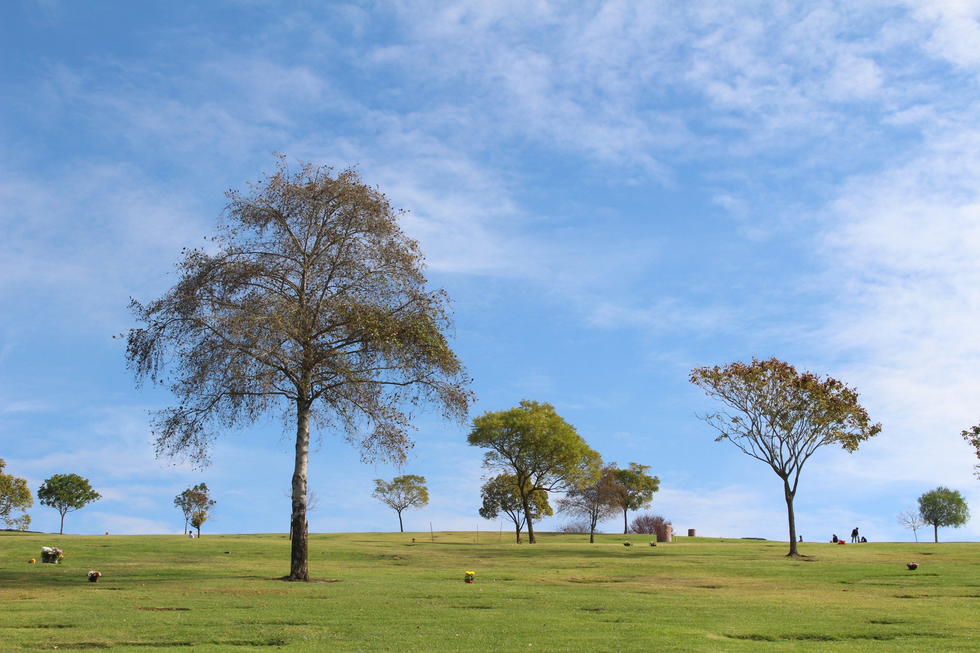 Rose Hill Memorial Park (2)