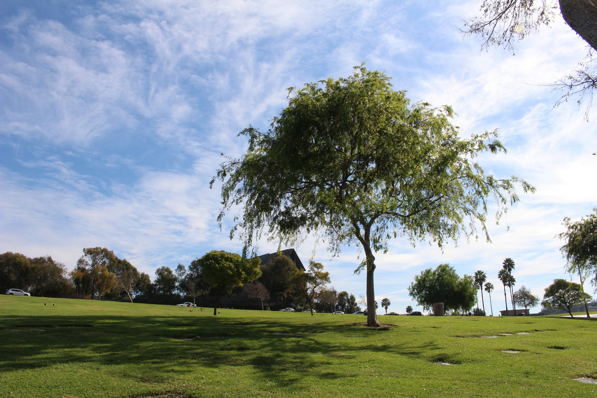 Rose Hill Memorial Park (3)