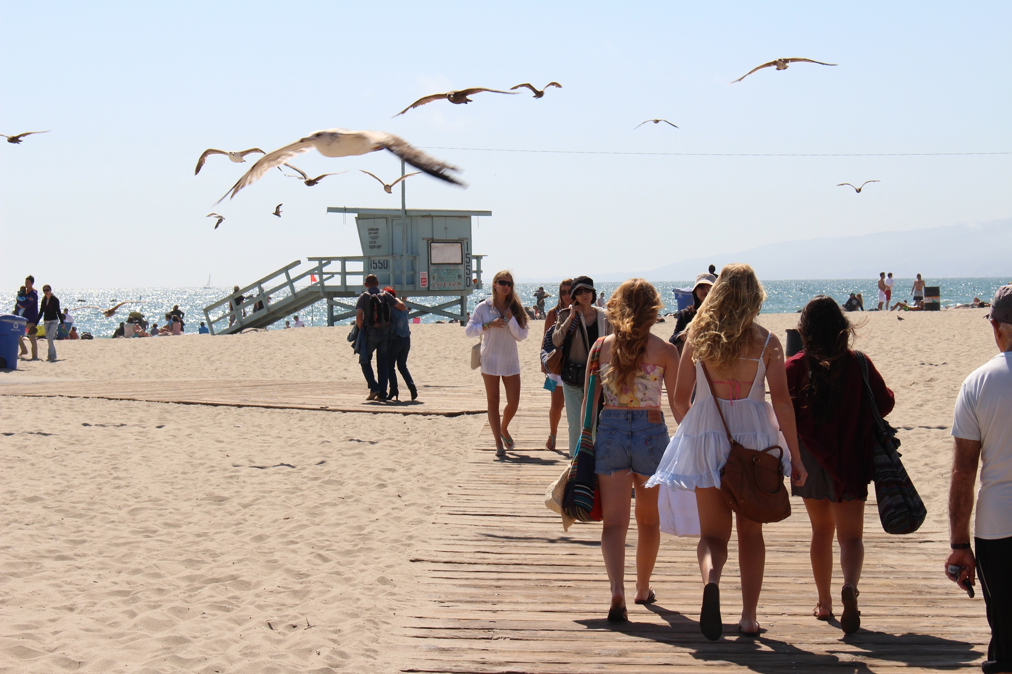 Santa Monica Beach (1)