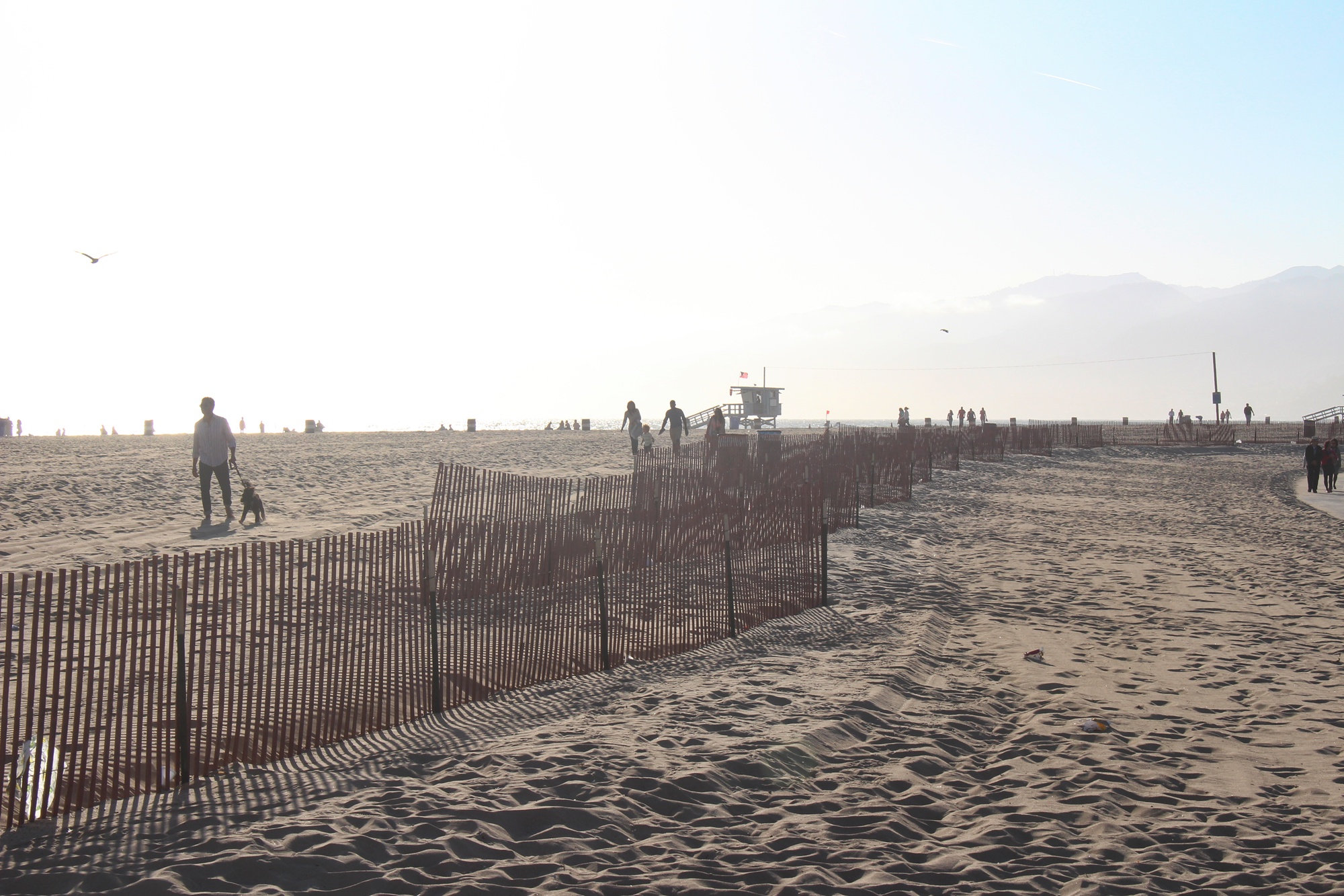 Santa Monica Beach (9)