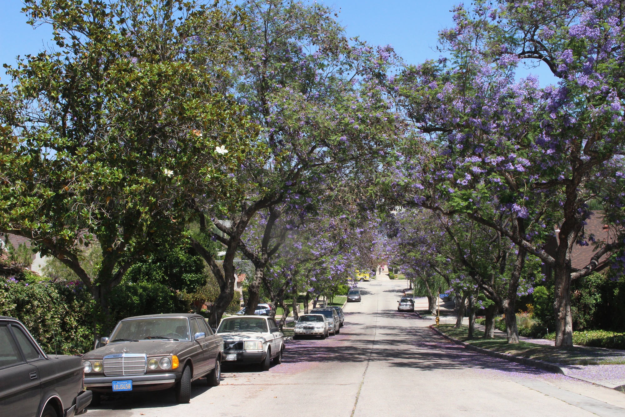 Silver Lake North (2)