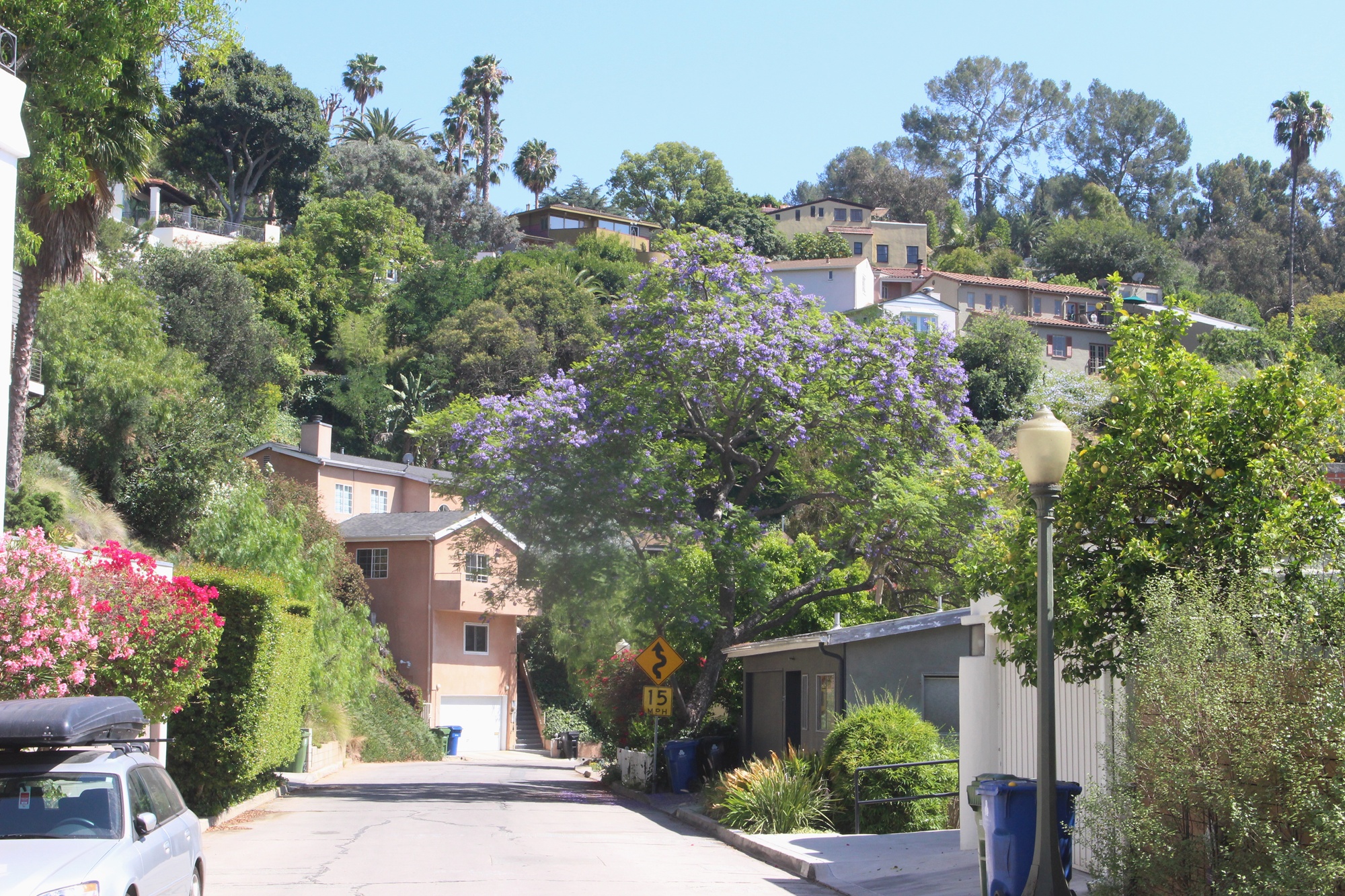 Silver Lake North (7)
