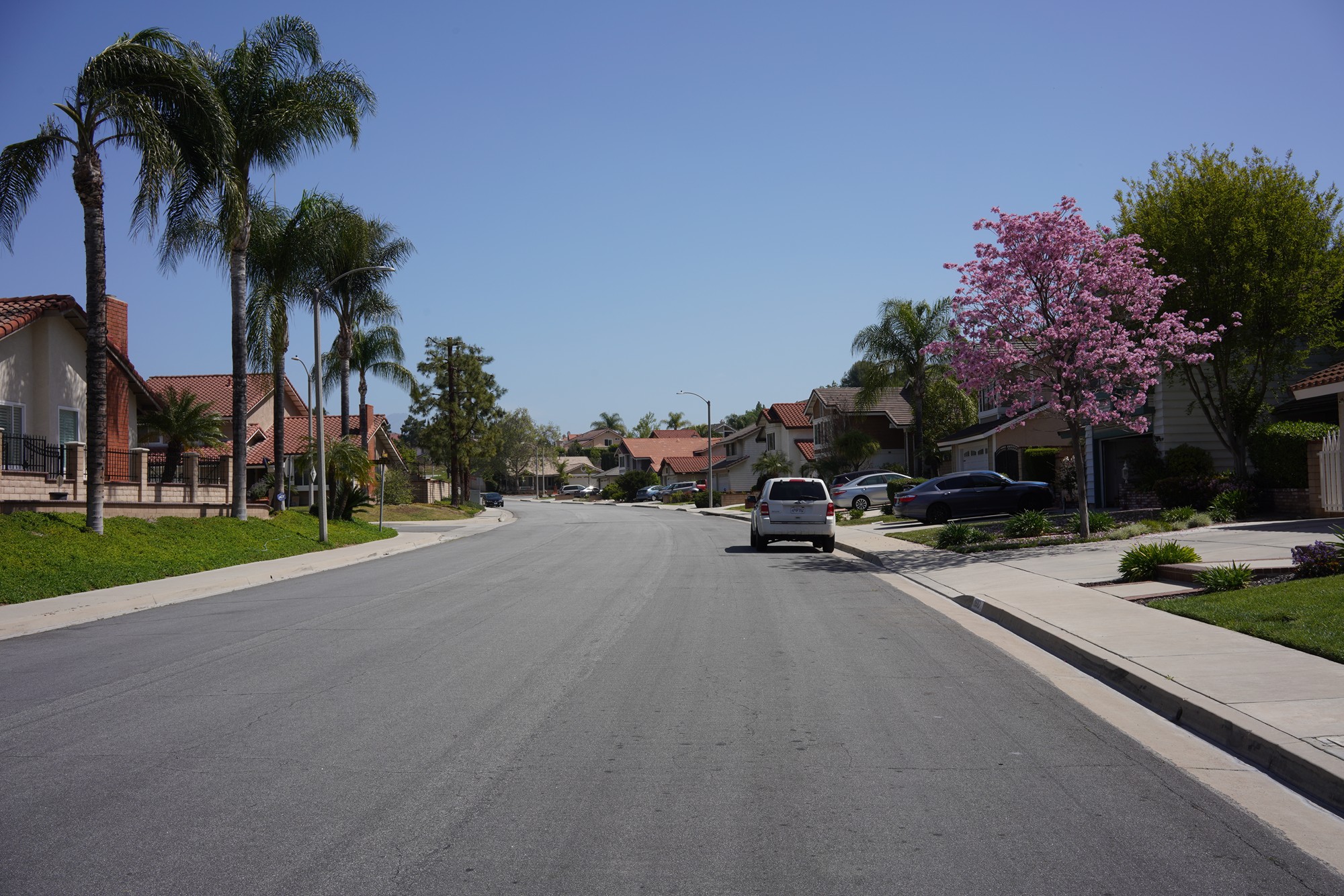 Walnut Neighborhood (2-1)