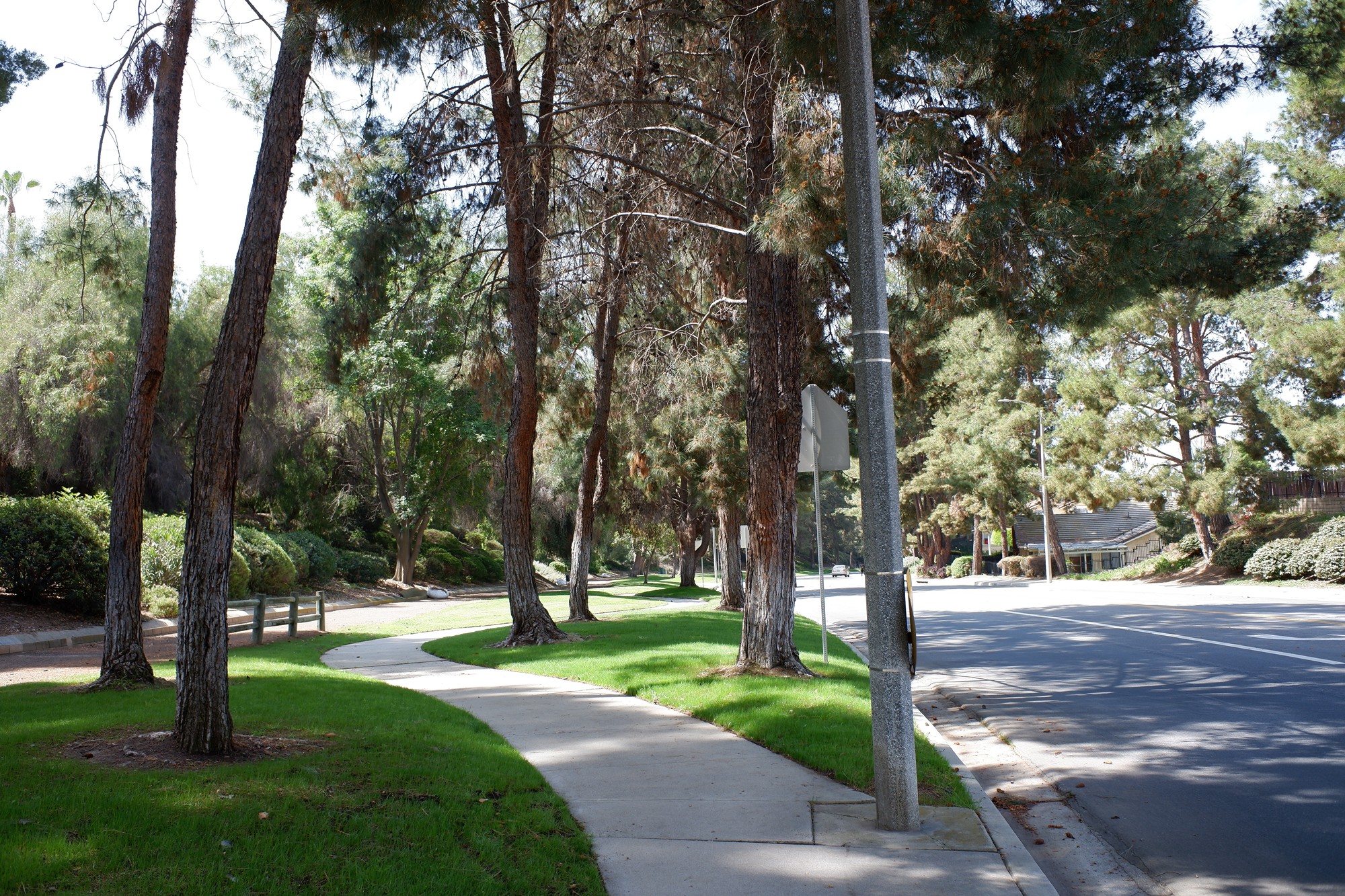 Walnut Neighborhood (2-2)