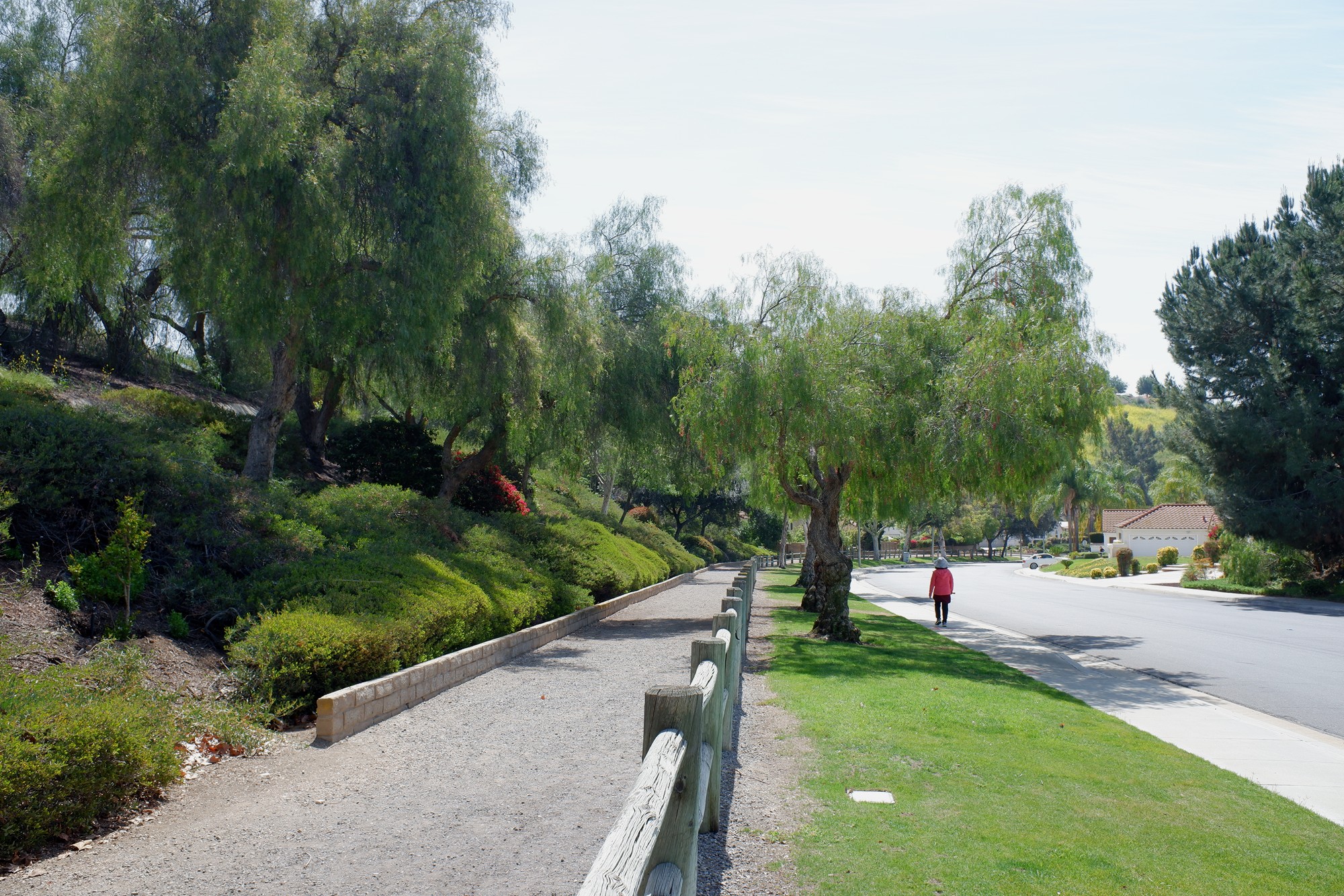 Walnut Neighborhood (2-3)
