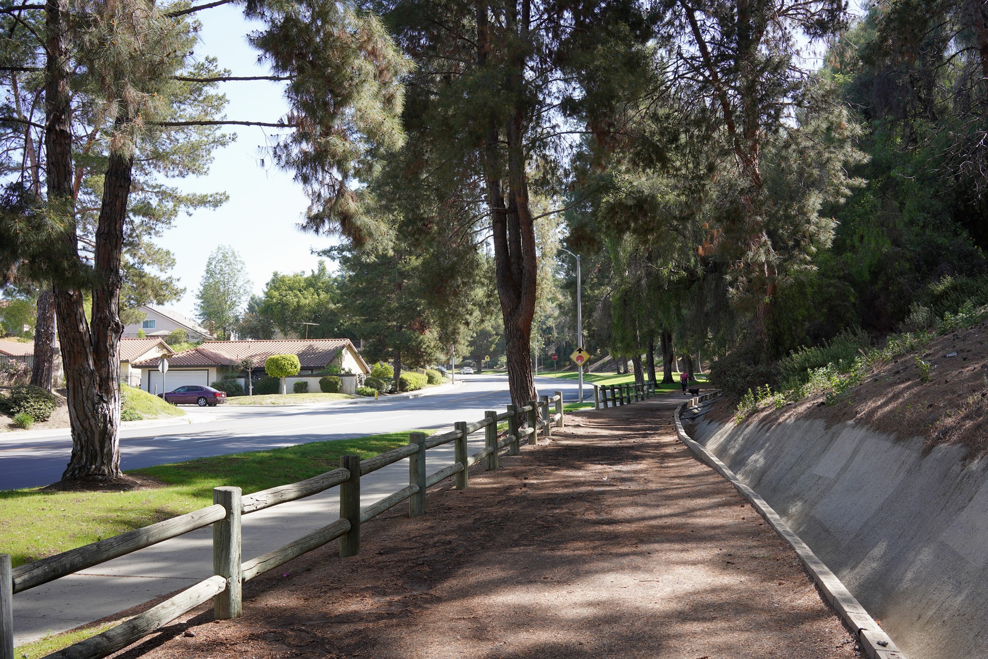 Walnut Neighborhood (2)