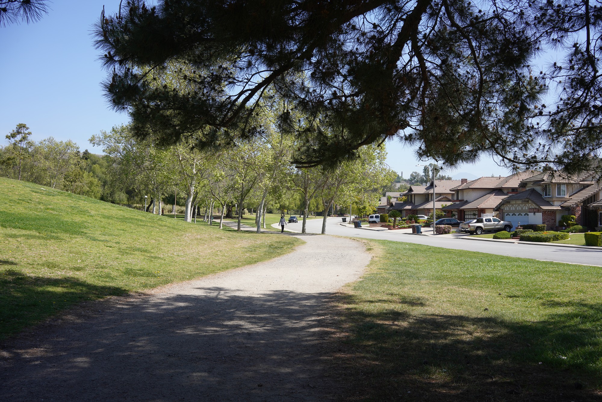 Walnut Neighborhood (3)