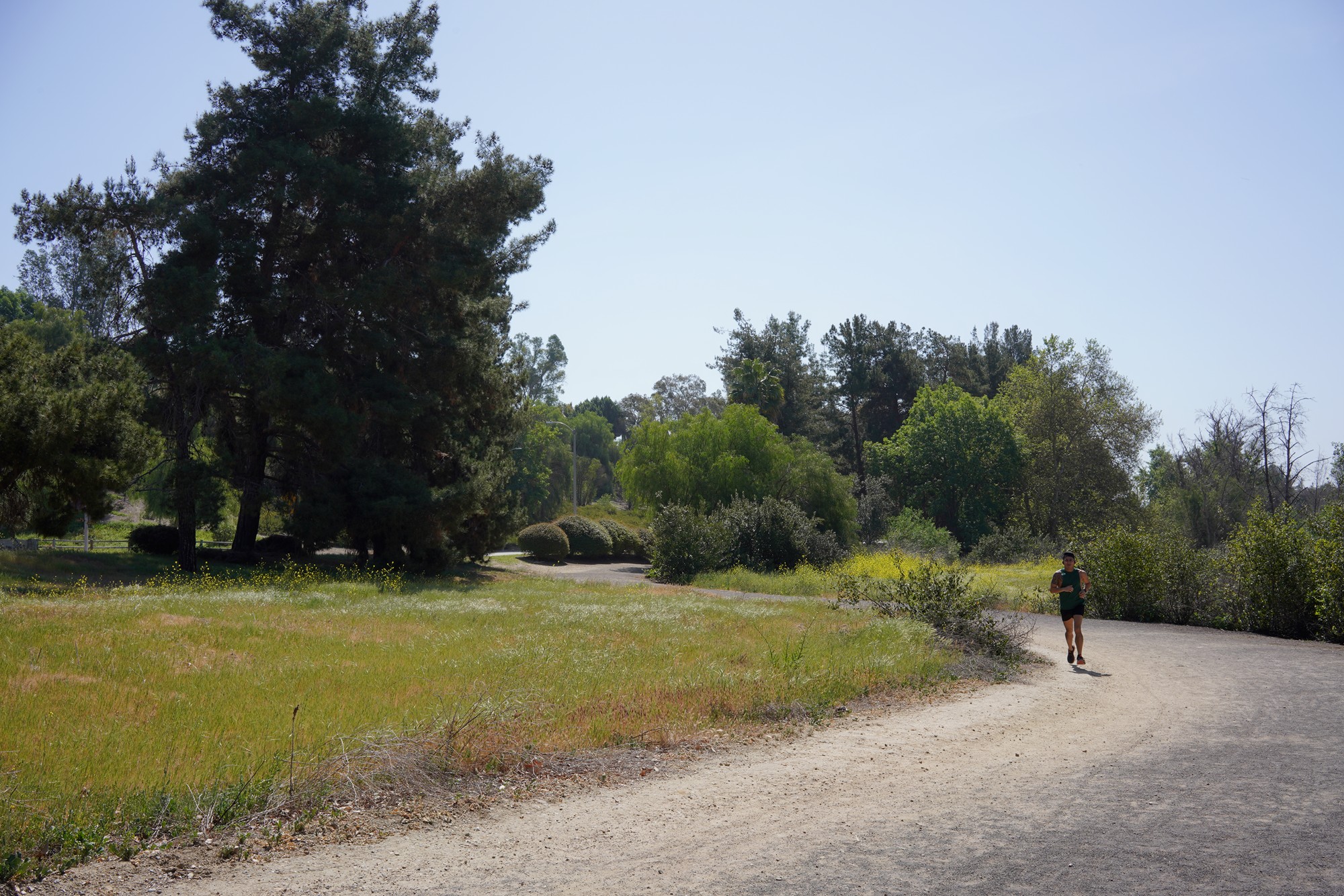 Walnut Neighborhood (9)