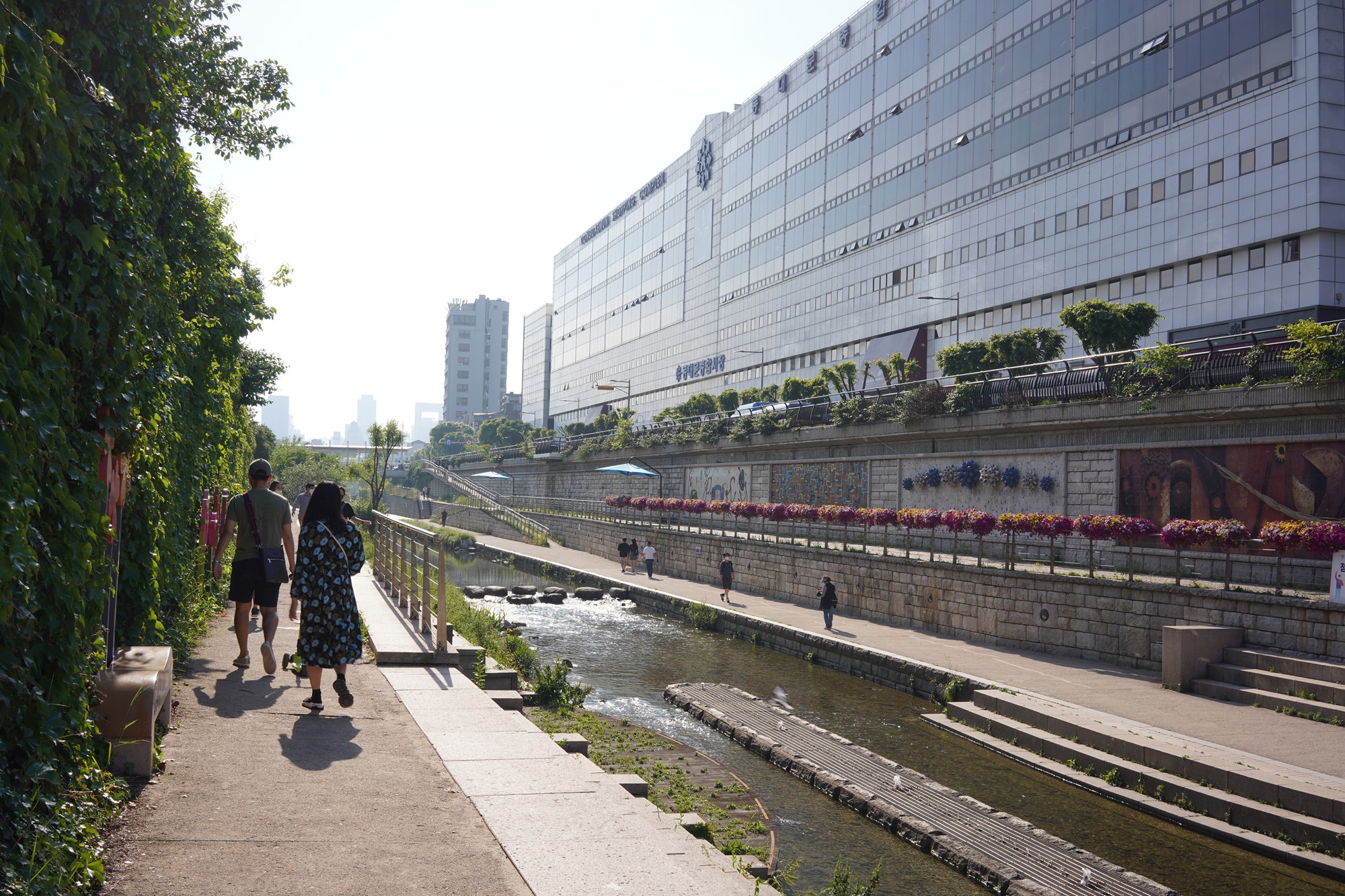Cheonggyecheon (4)