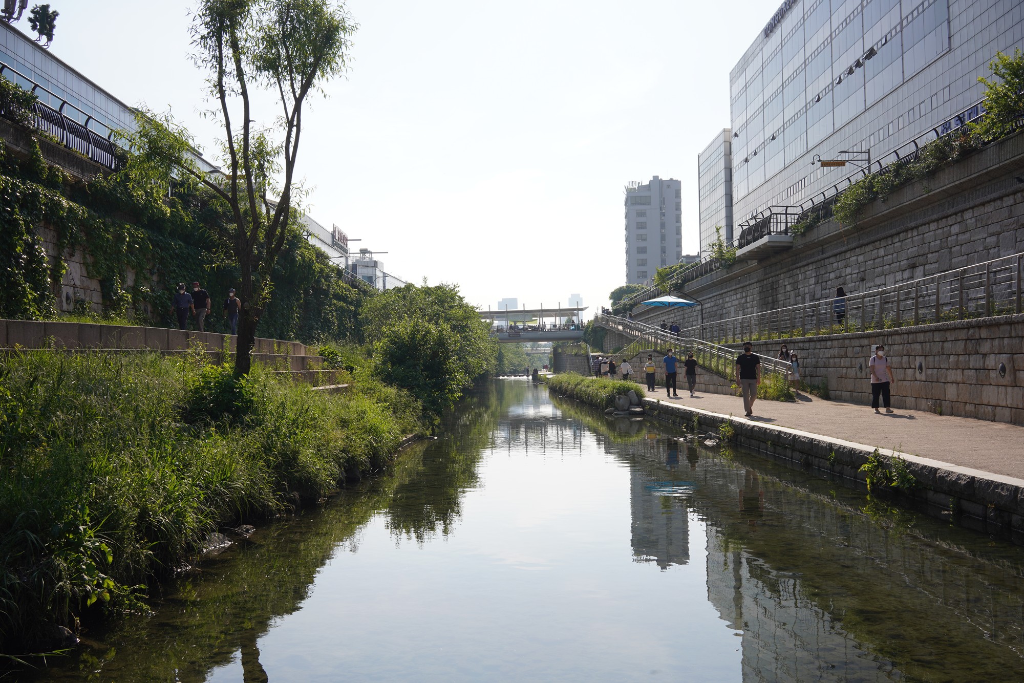 Cheonggyecheon (5)