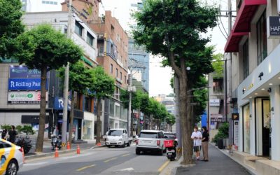 Garosu-gil in Seoul, South Korea