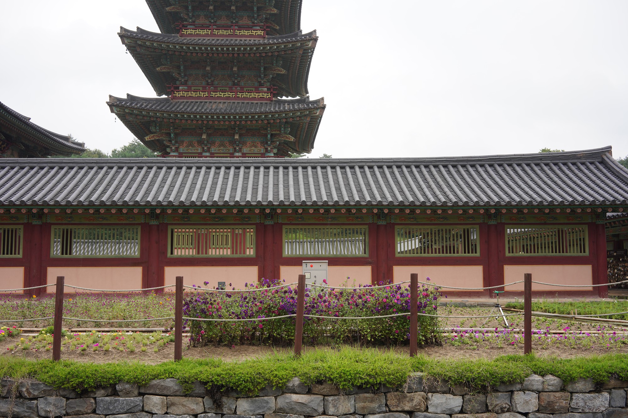 Baekje Cultural Land (11)