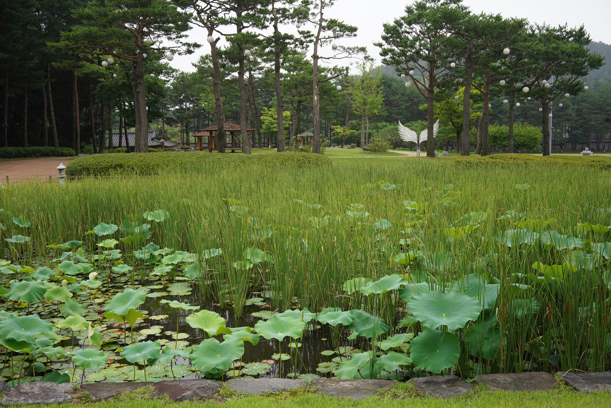 Baekje Cultural Land (12)