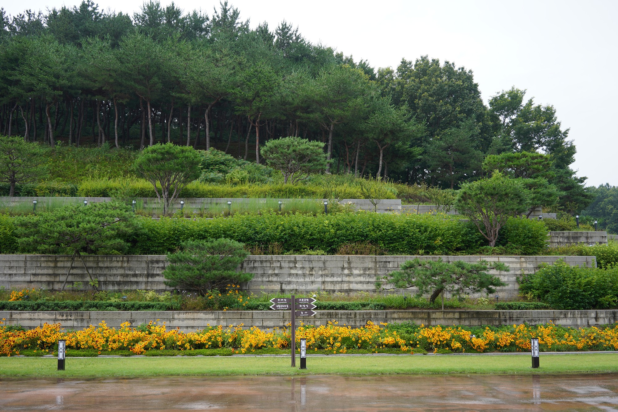 Baekje Cultural Land (17)