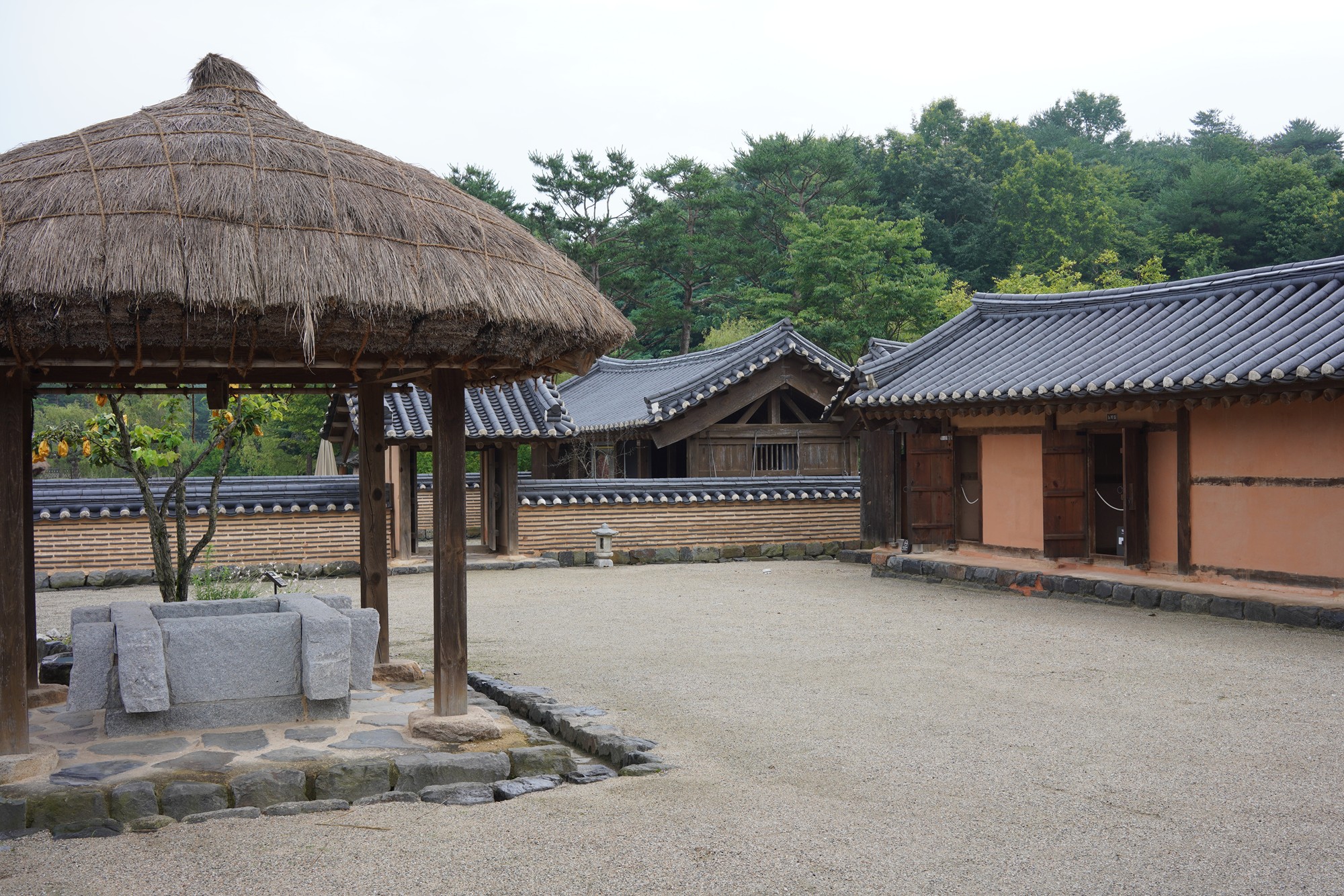 Baekje Cultural Land (23)