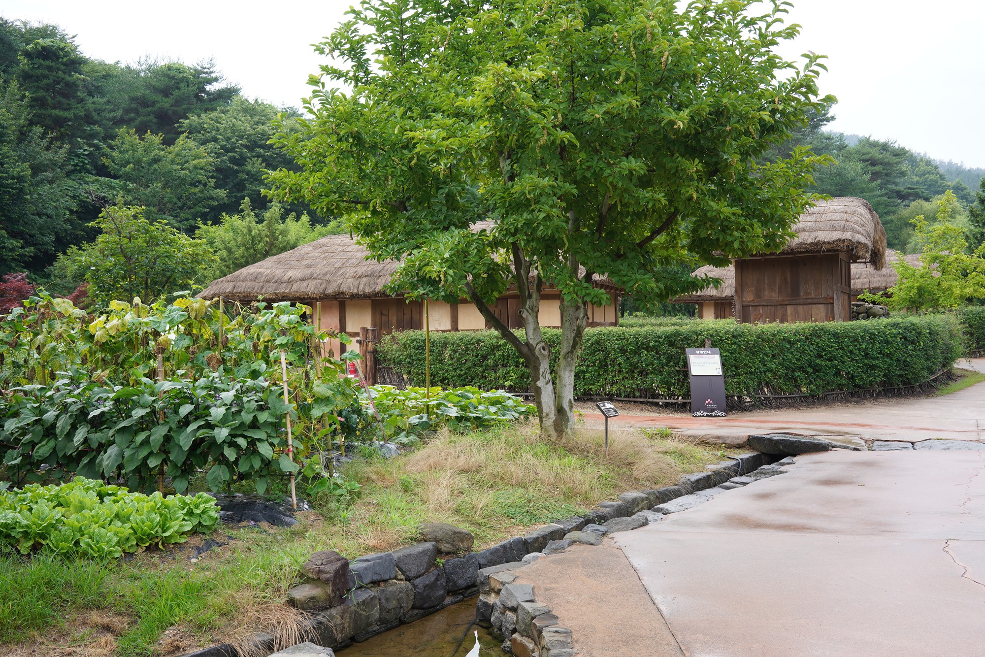 Baekje Cultural Land (26)