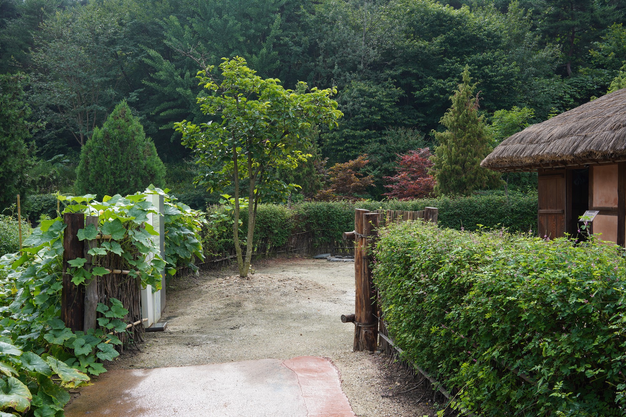 Baekje Cultural Land (29)
