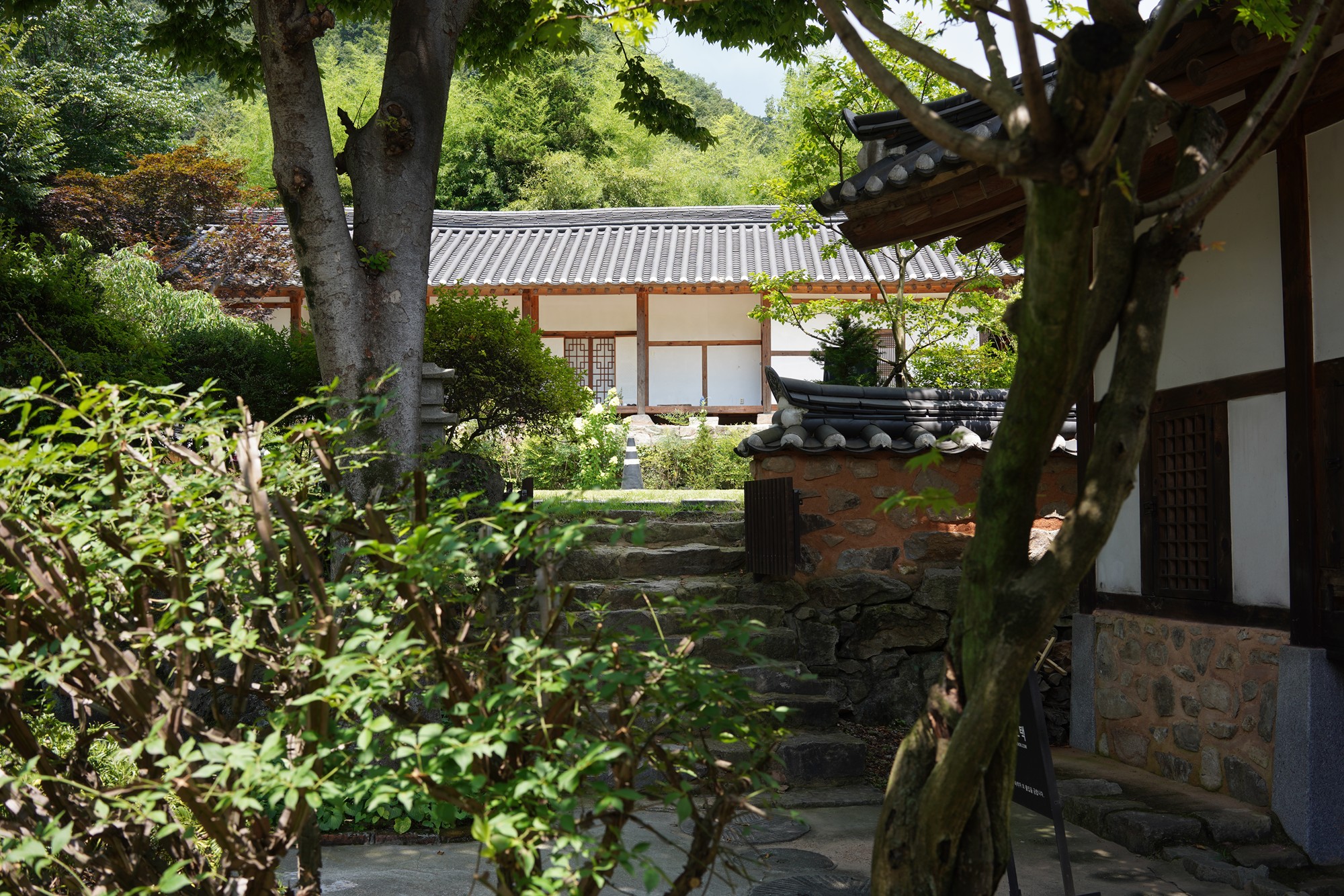 Jeonju 4 (20)