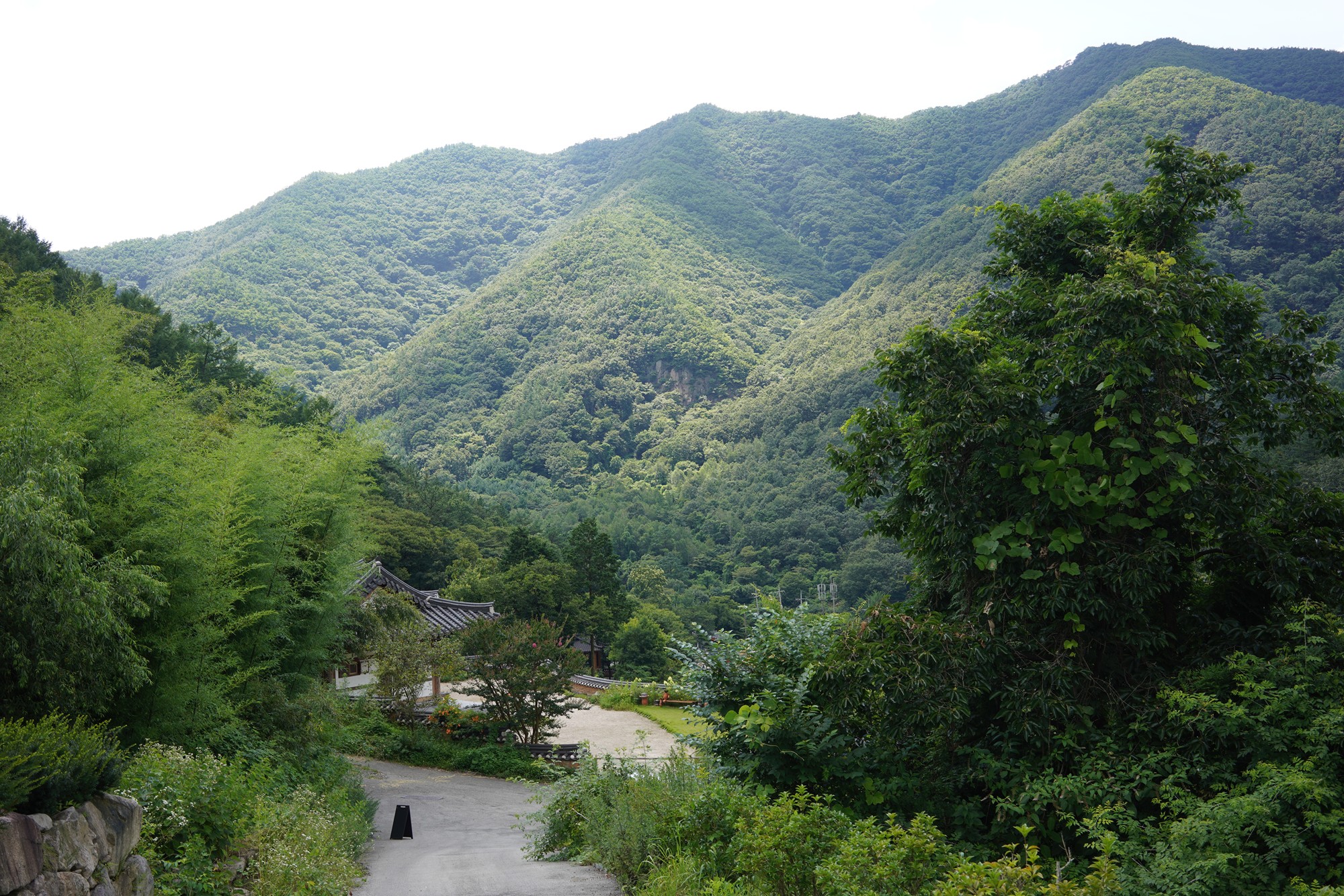 Jeonju 4 (21)