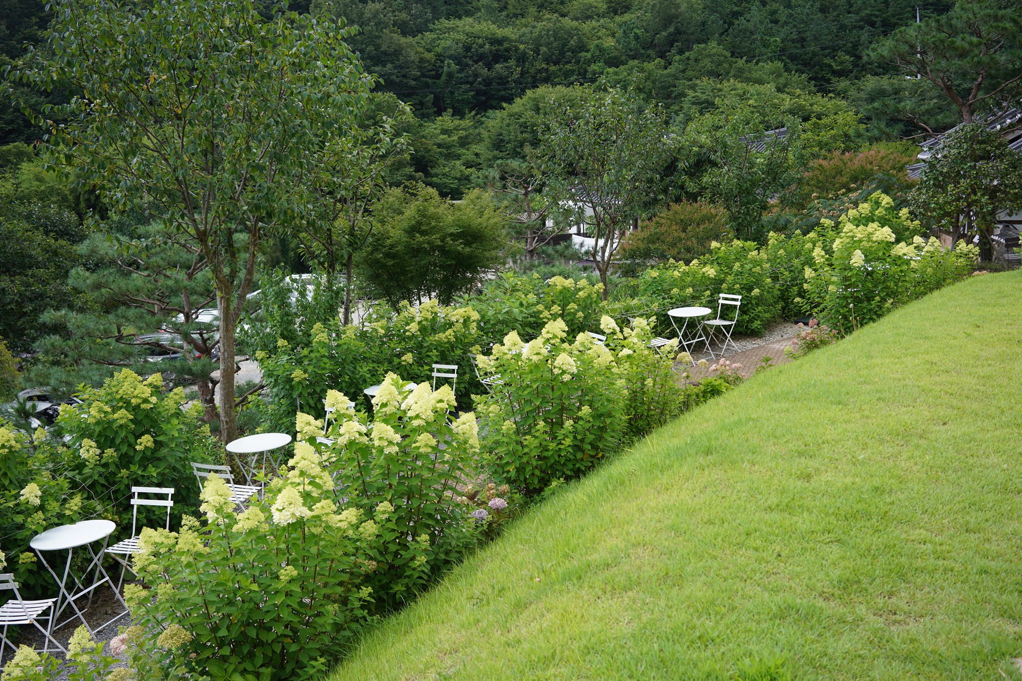 Jeonju 4 (25)