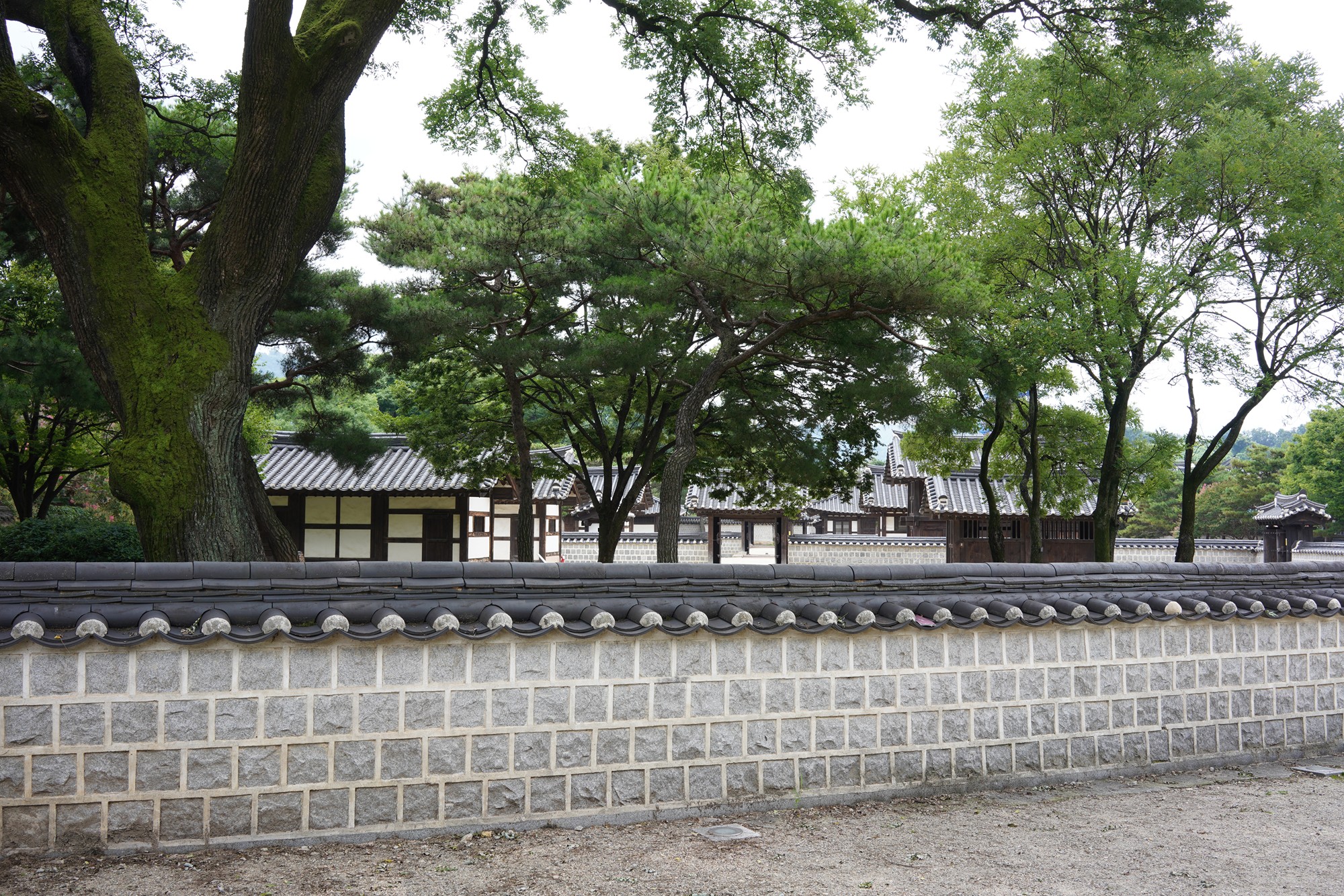 Junju Hanok Village (26)