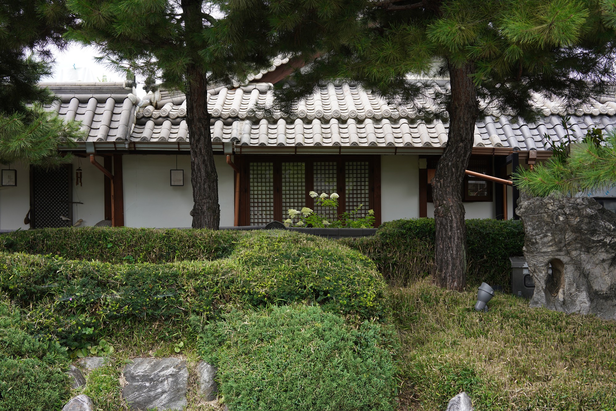 Junju Hanok Village (5)