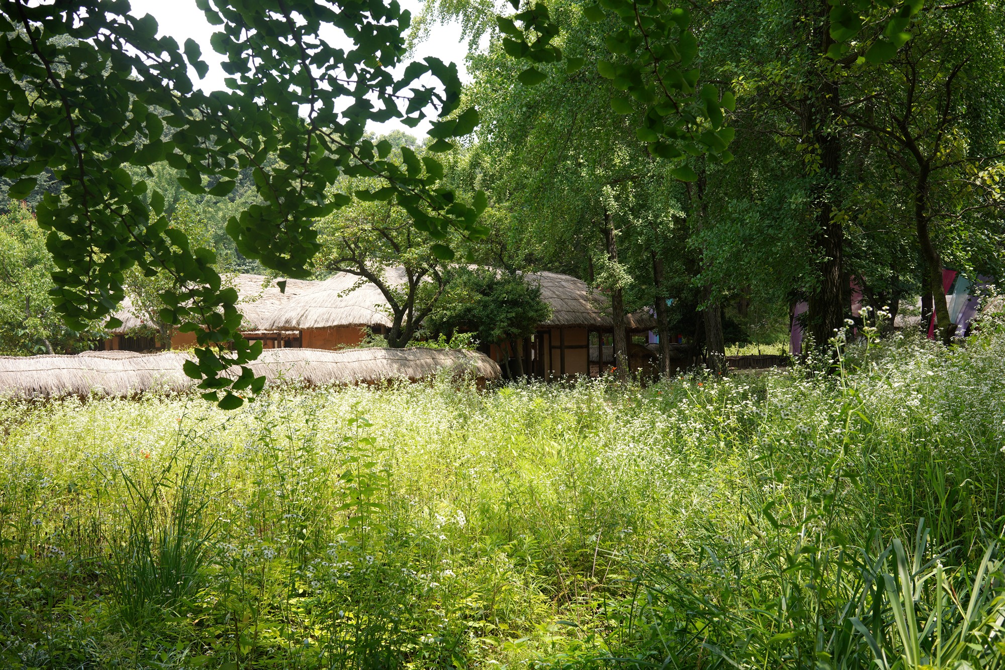 Korean Folk Village (2)