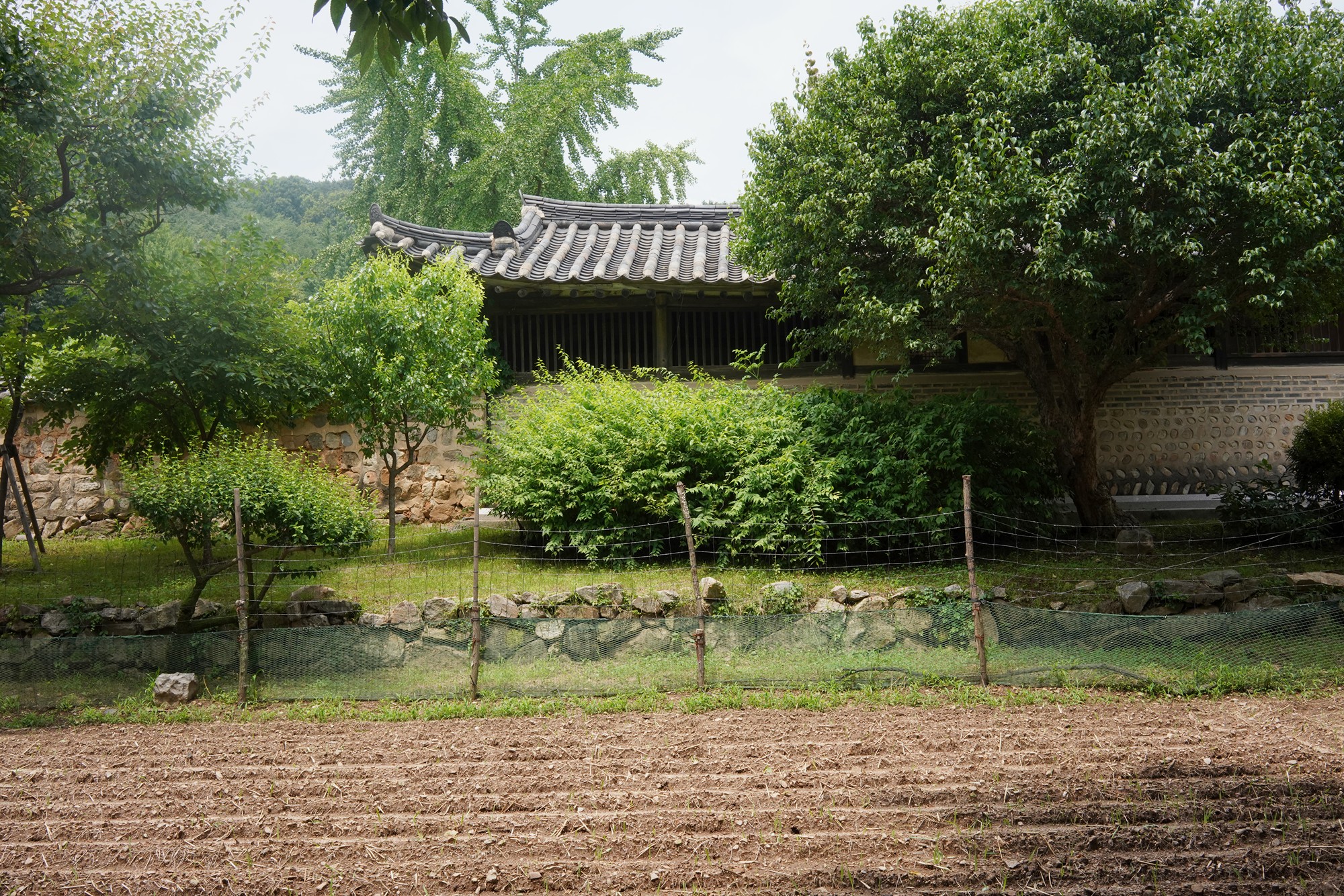 Korean Folk Village (24)
