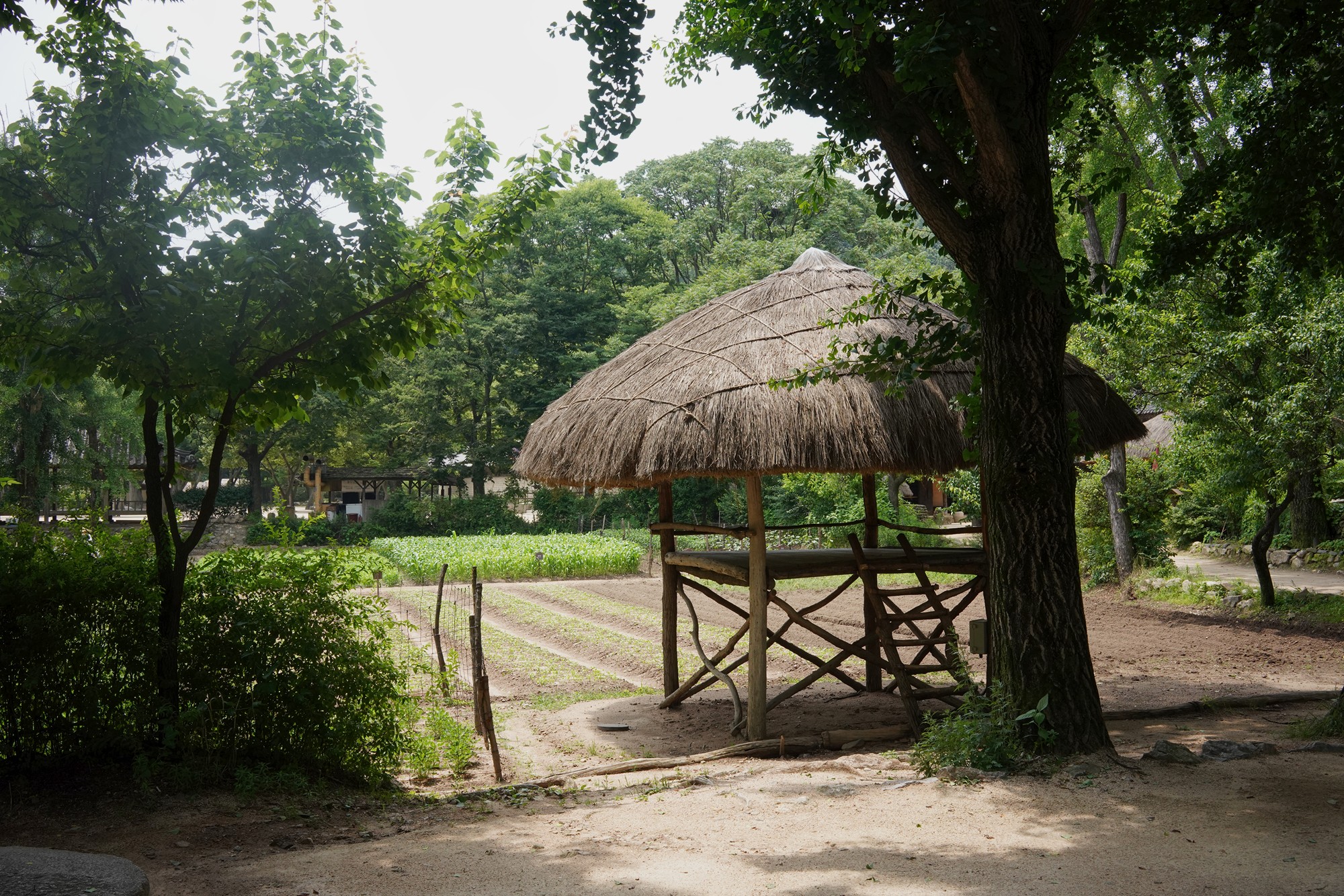 Korean Folk Village (25)