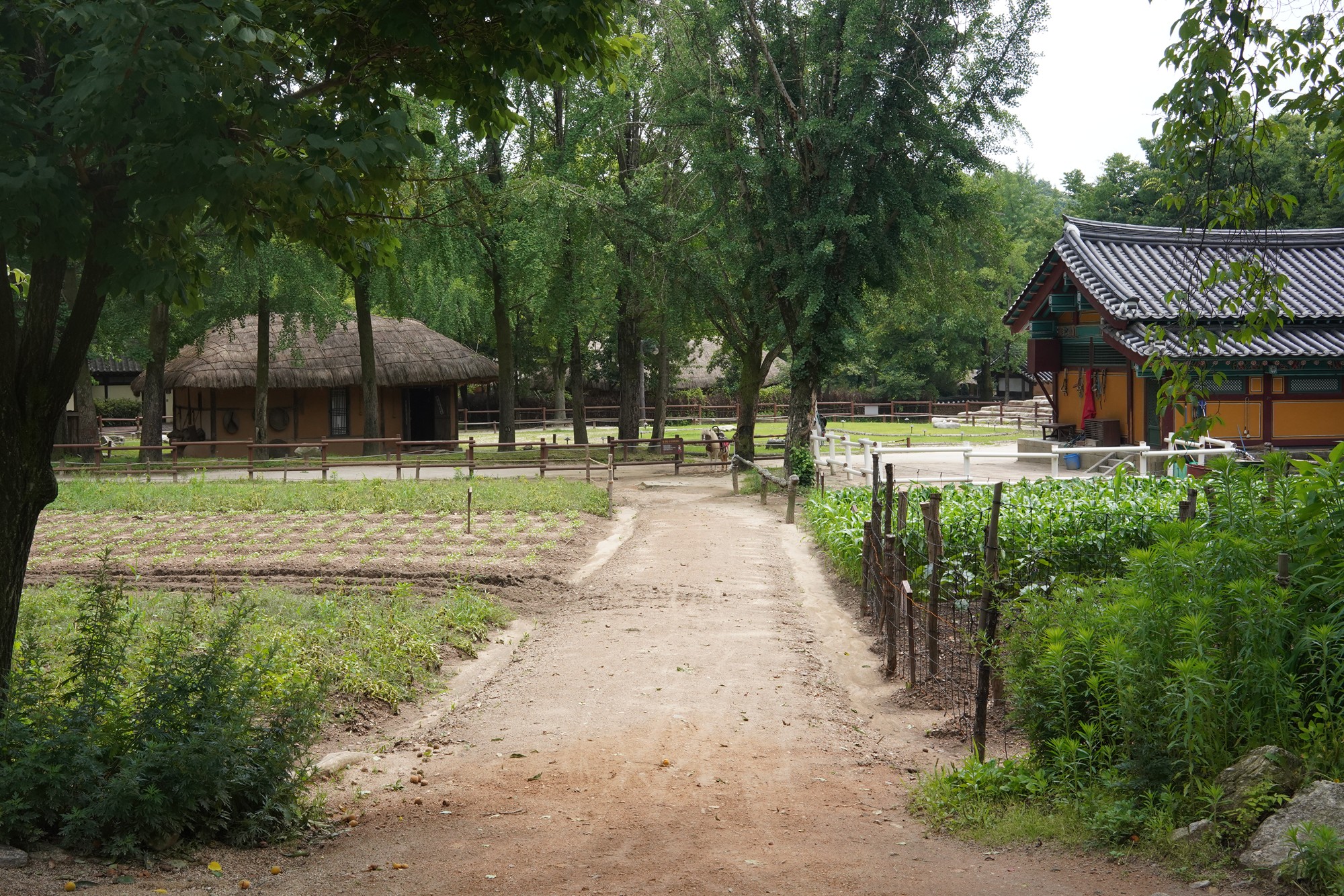 Korean Folk Village (28)