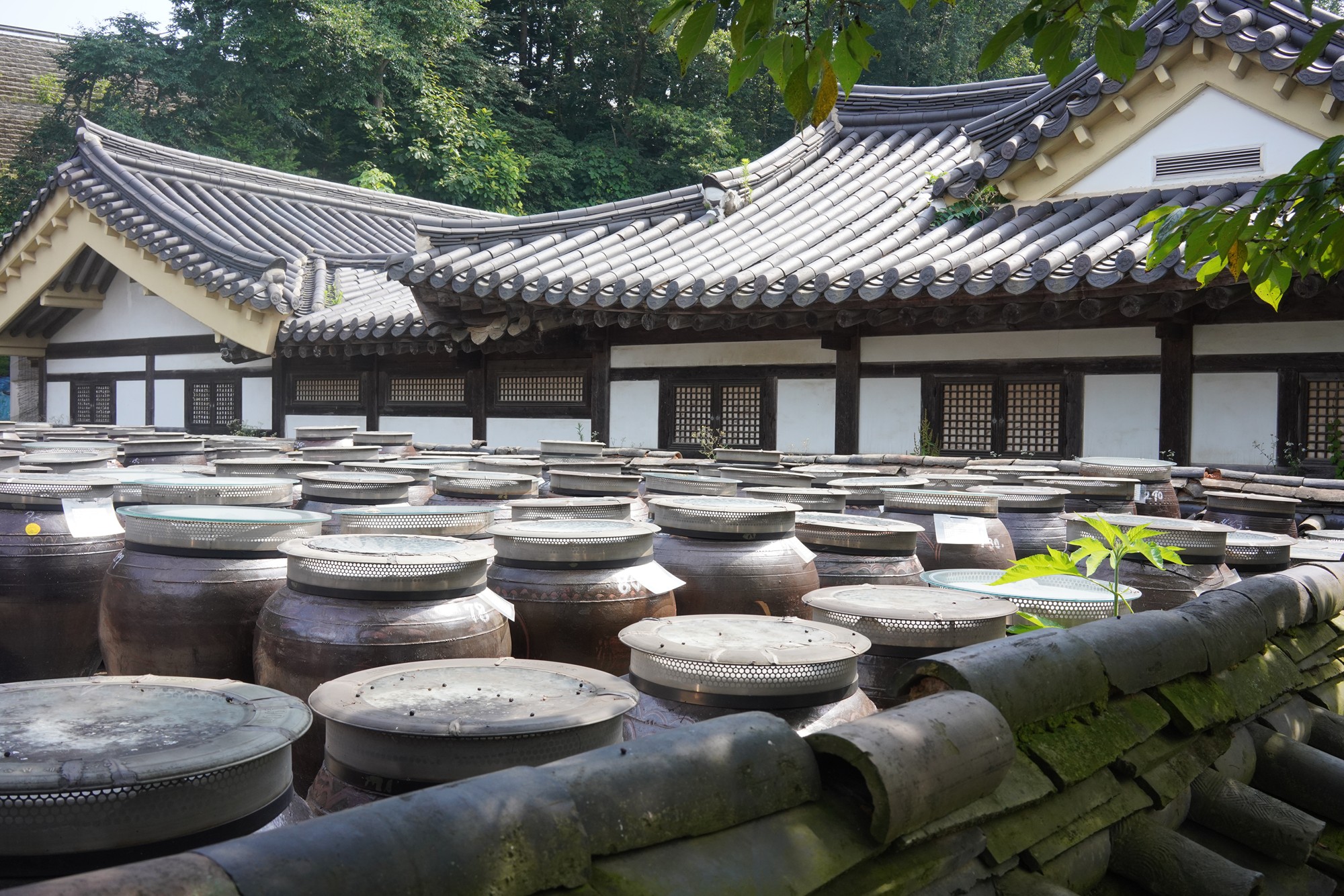 Korean Folk Village (41)