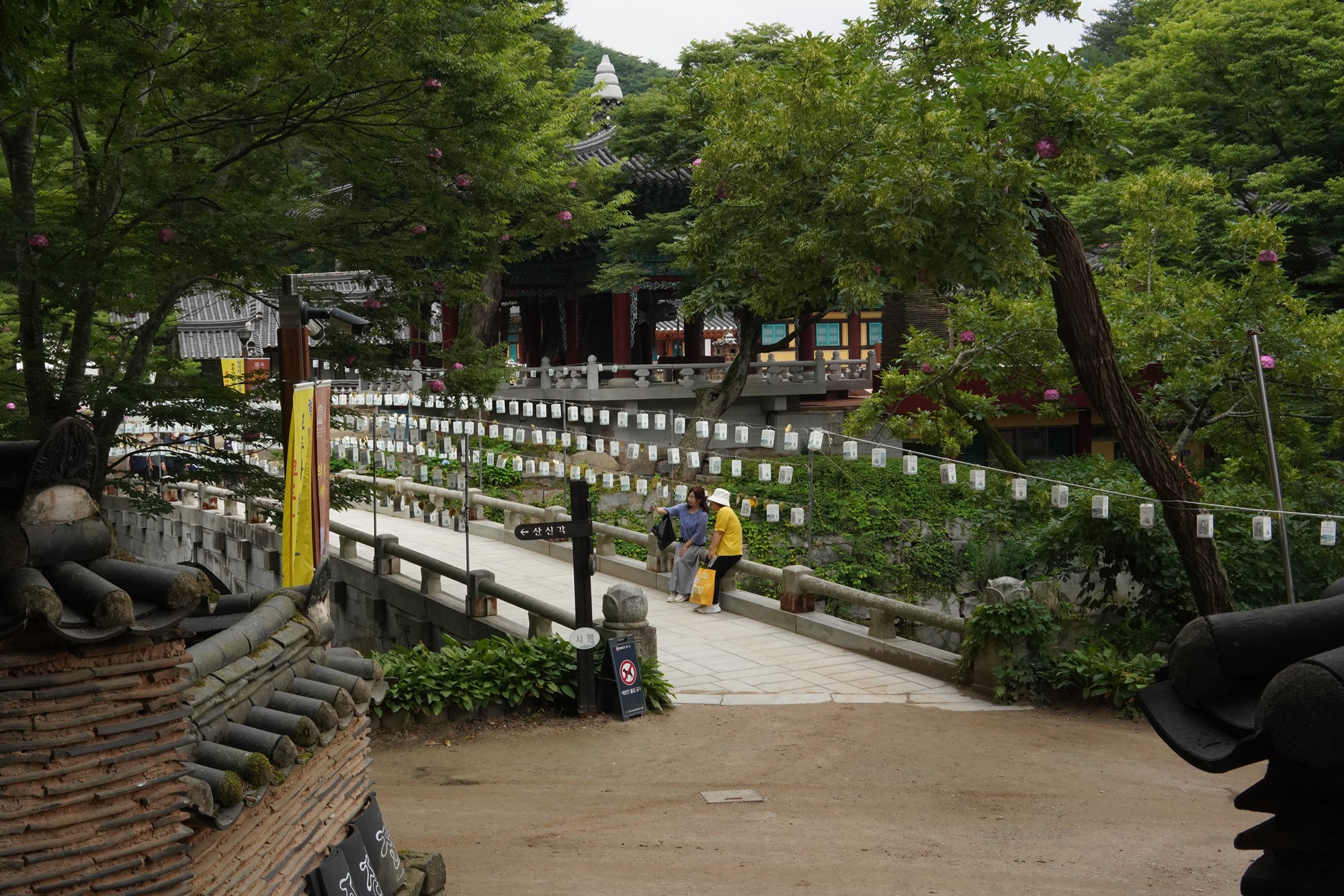 Magoksa Temple (12)