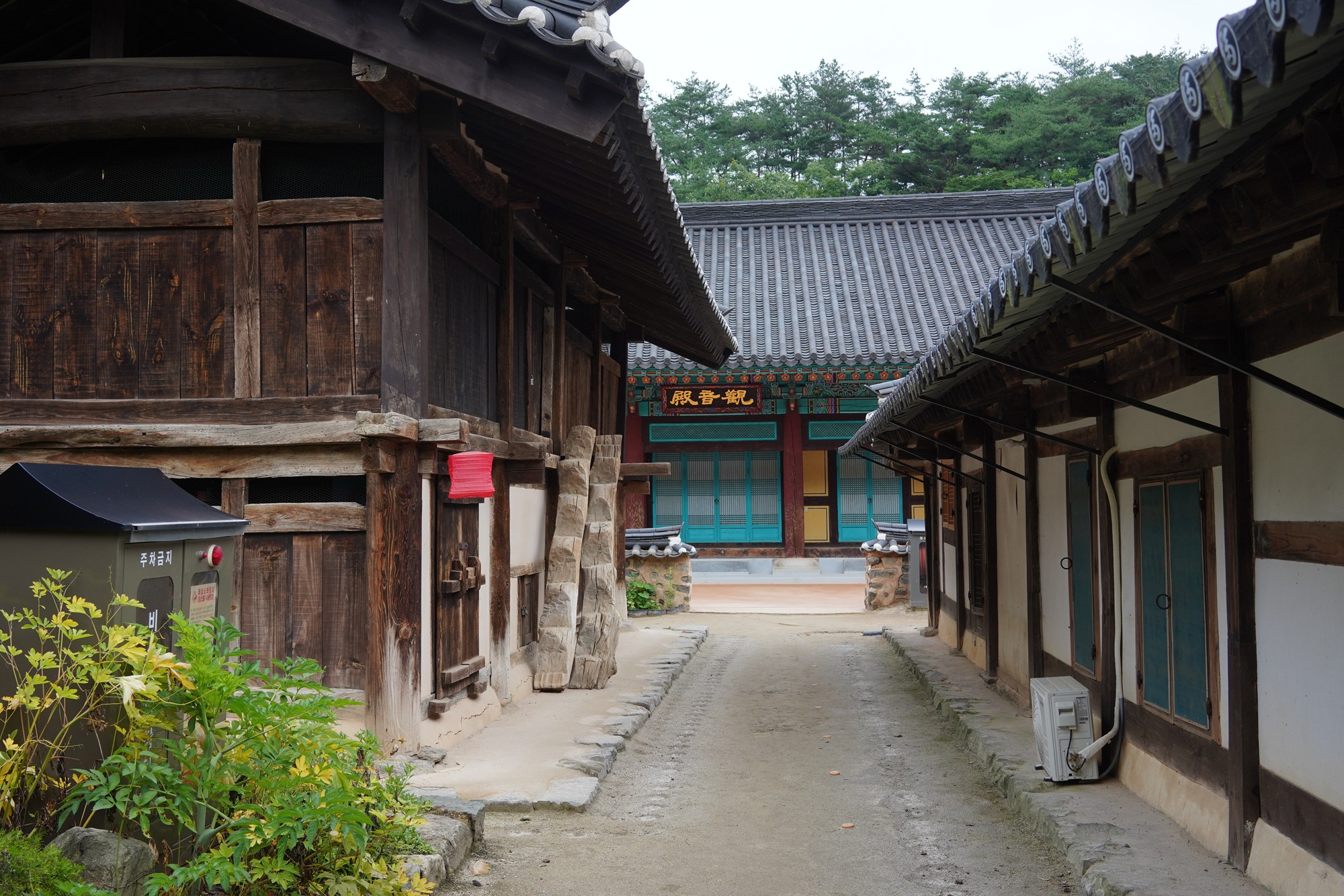 Magoksa Temple (22)