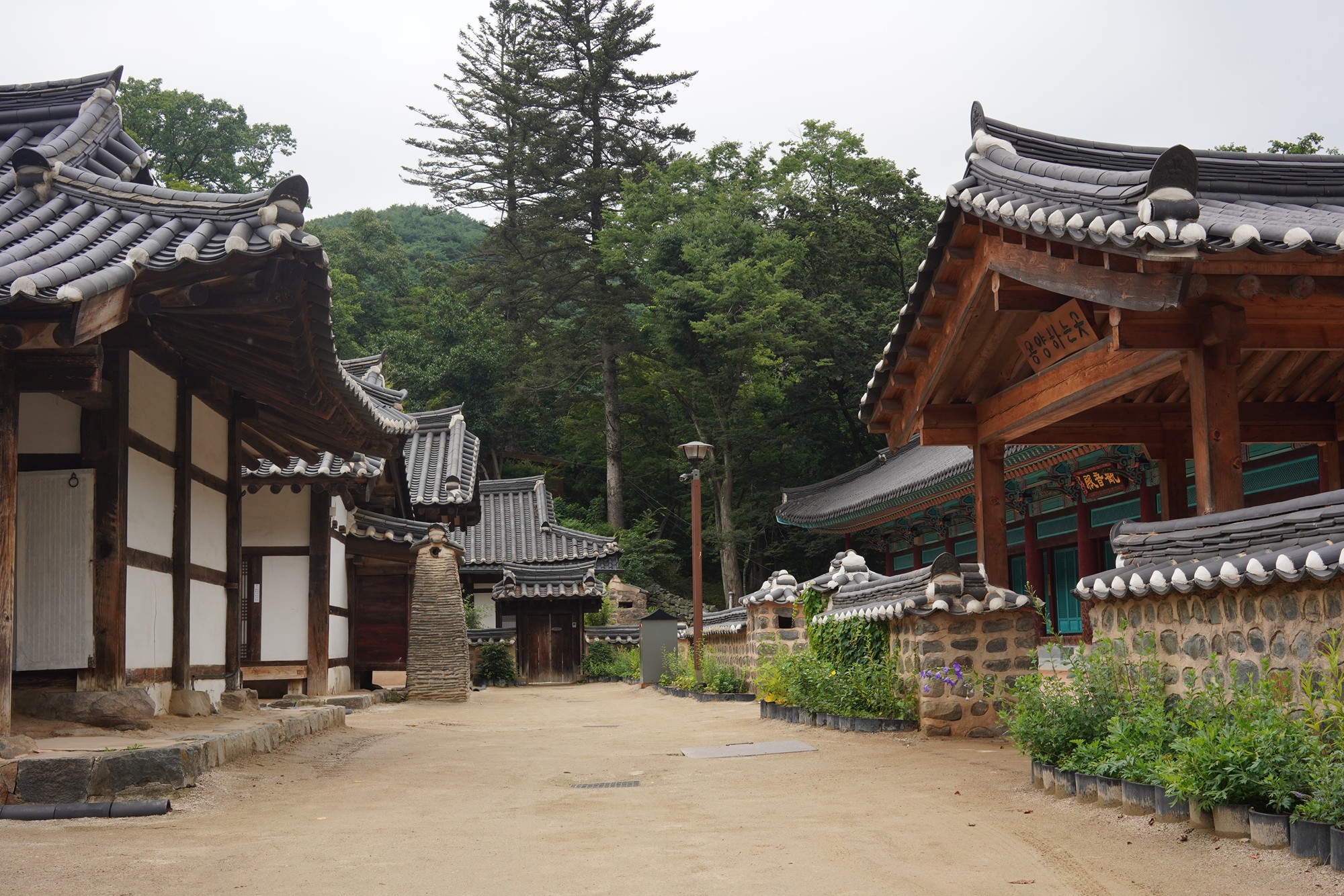 Magoksa Temple (29)